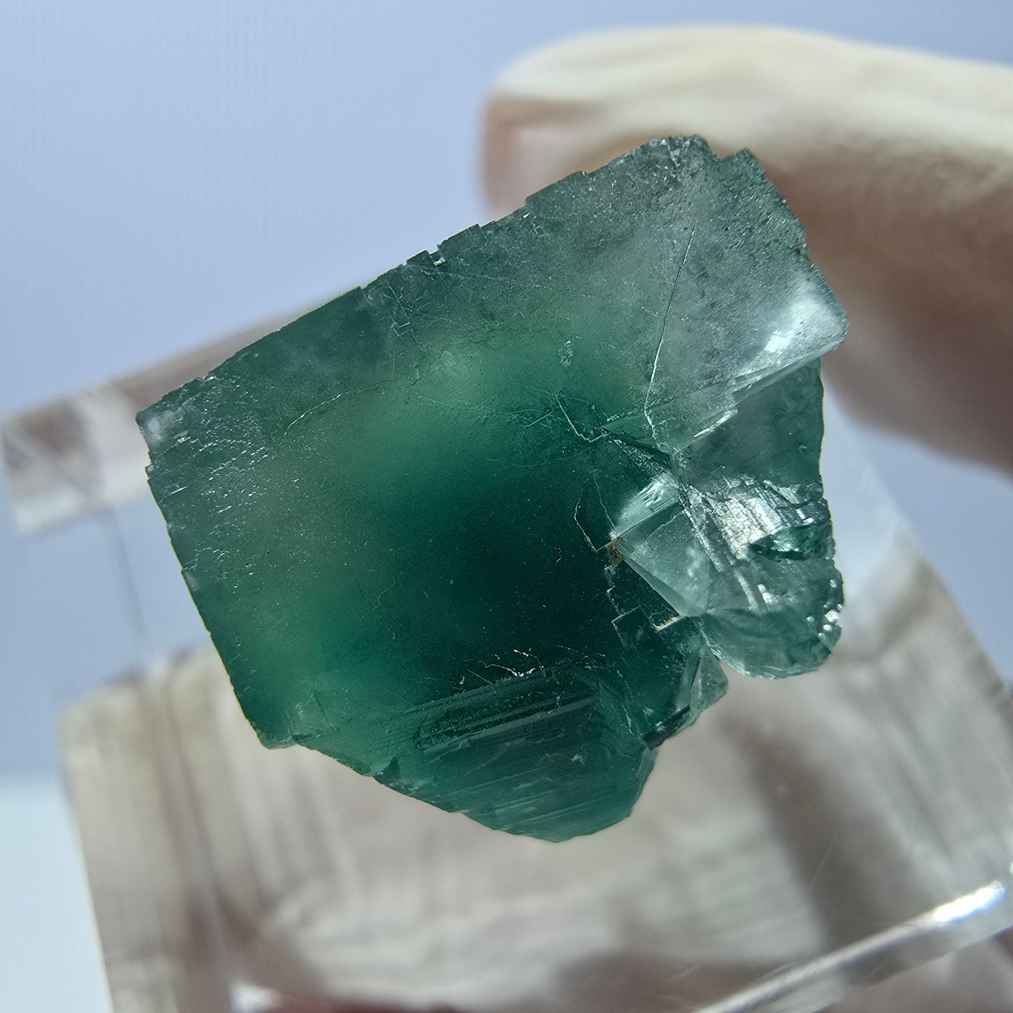 Rare spécimen de cube de fluorite fantôme, vert Okorusu, Namibie 17 x 16 x 16 mm