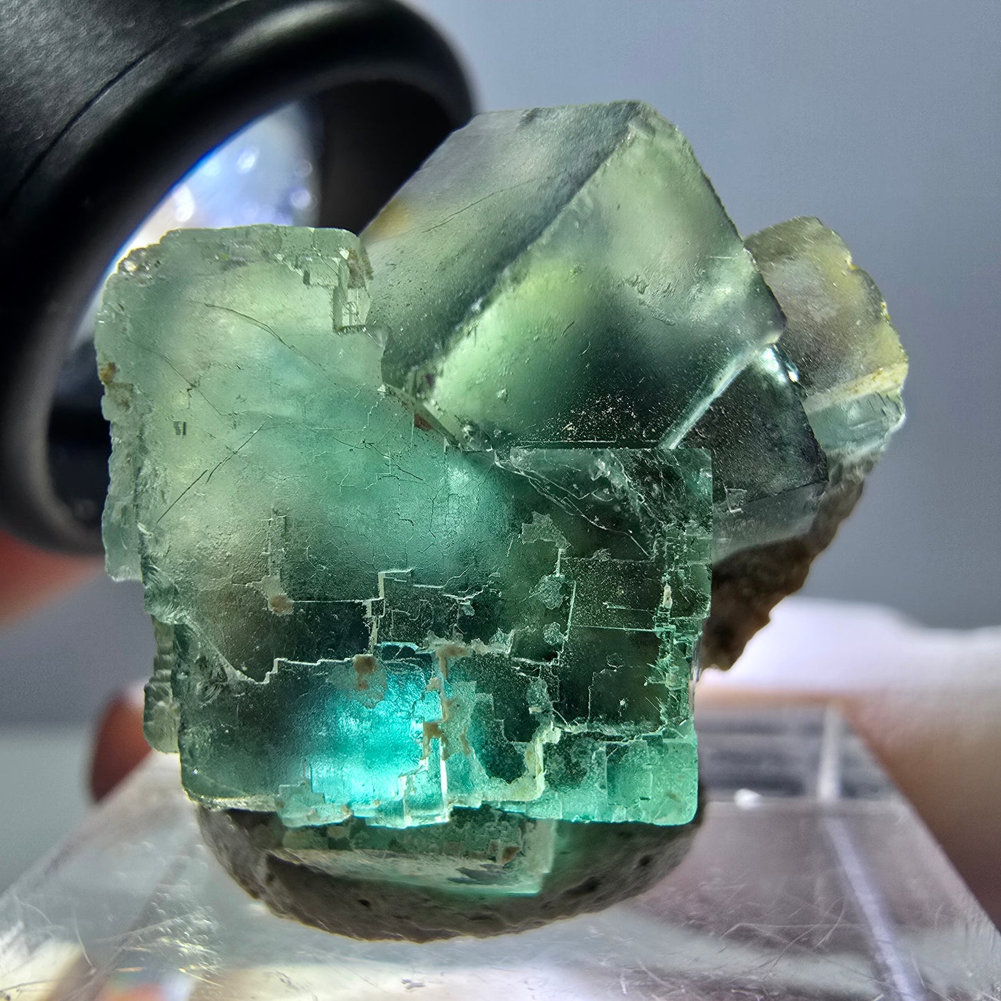 Spécimen de cube de fluorite fantôme, parquet vert Okorusu, Namibie 25 x 20 x 15 mm