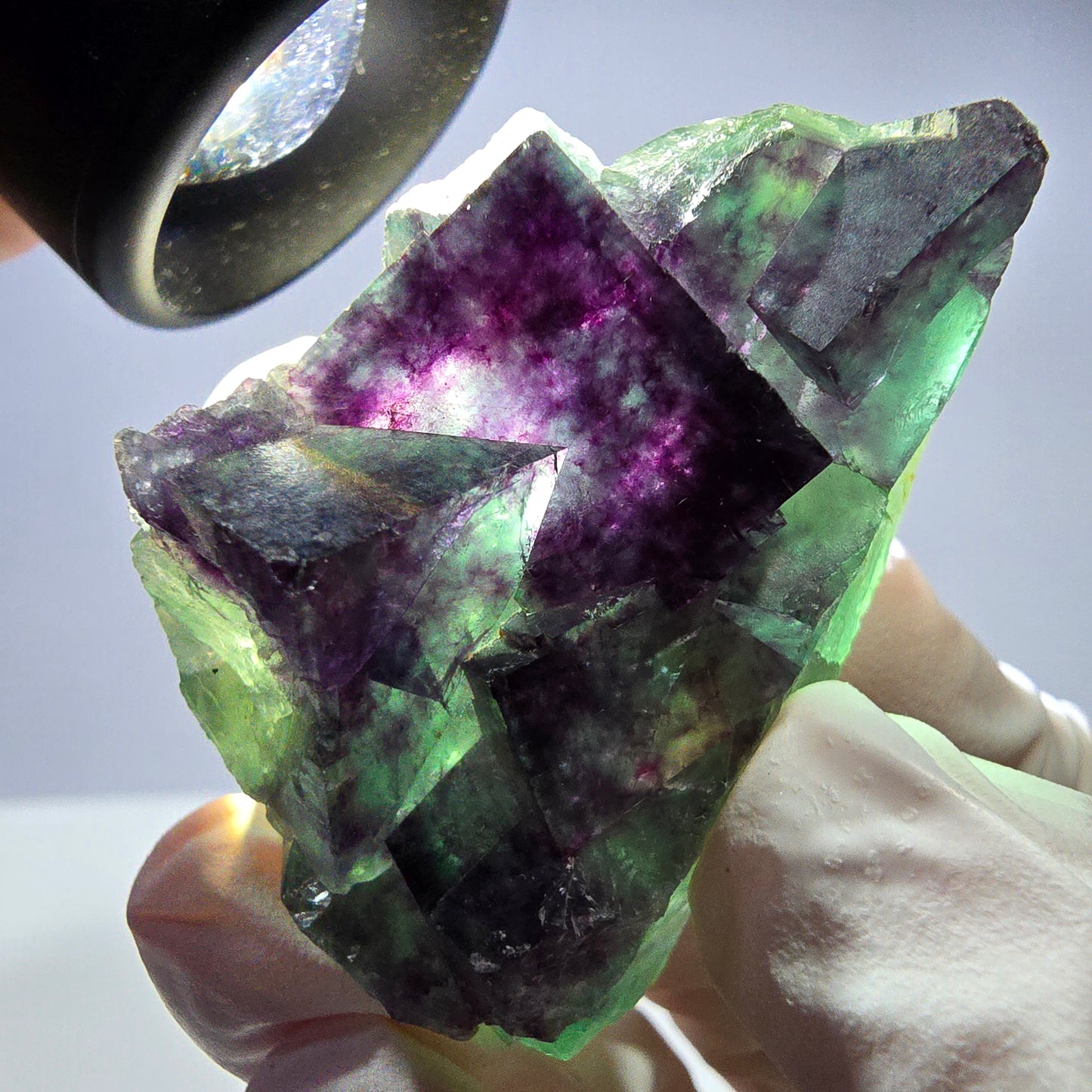 Spécimen de cube de fluorite fantôme parqueté vert violet Okorusu, Namibie 48*26*26mm