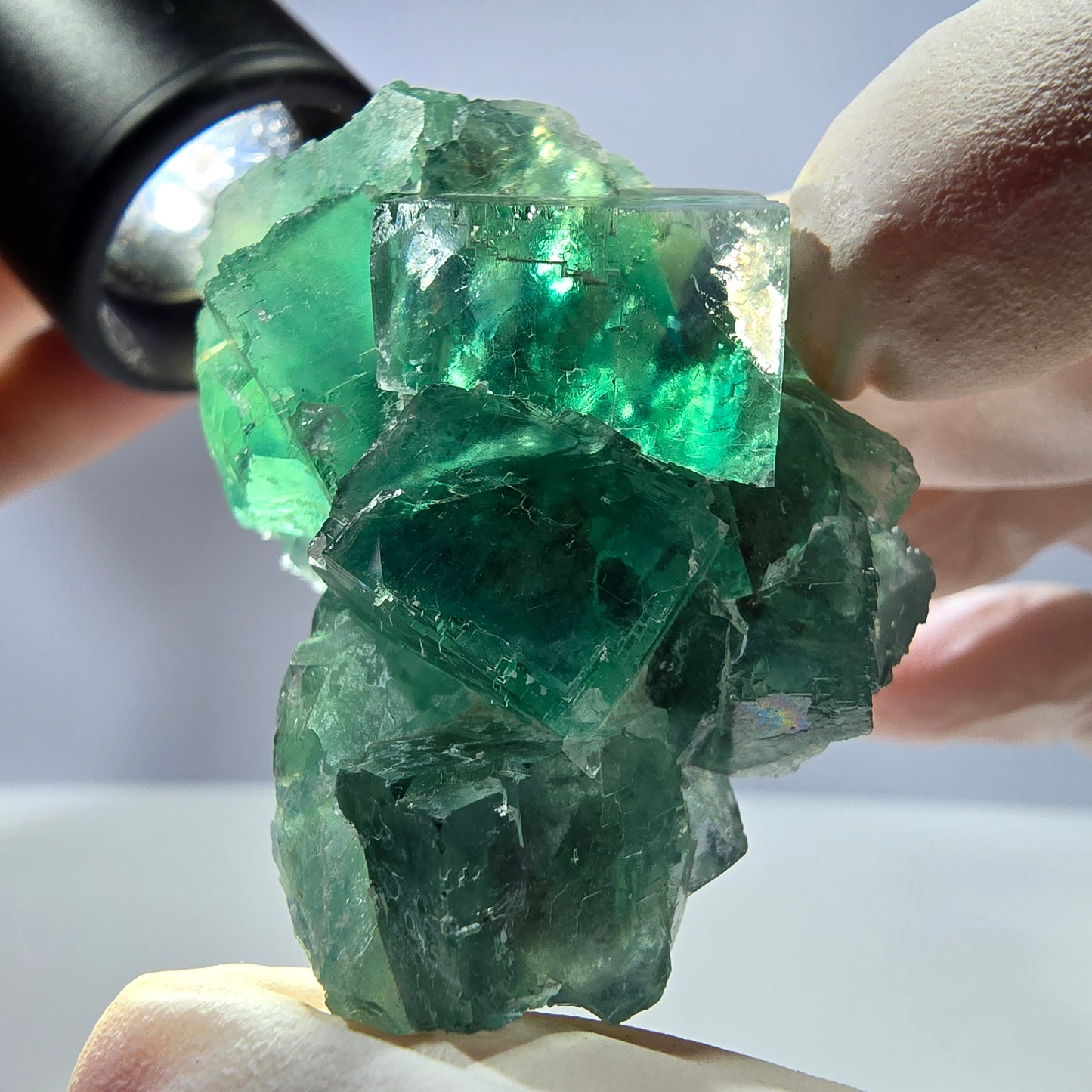 Klare Phantom Fluorit Würfel Stufe, parkettiert grün Okorusu, Namibia 46*31*30mm