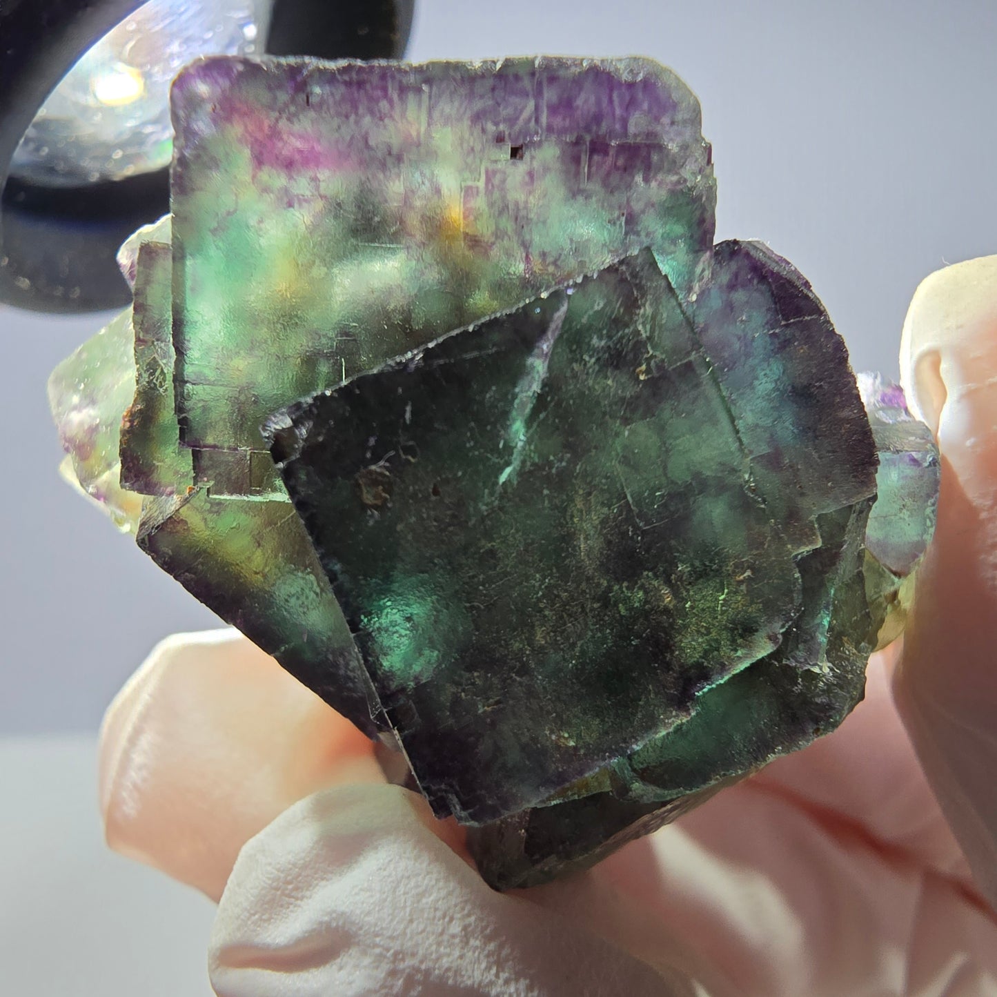 Spécimen de cube de fluorite fantôme parqueté vert violet Okorusu, Namibie 40*36*26 mm