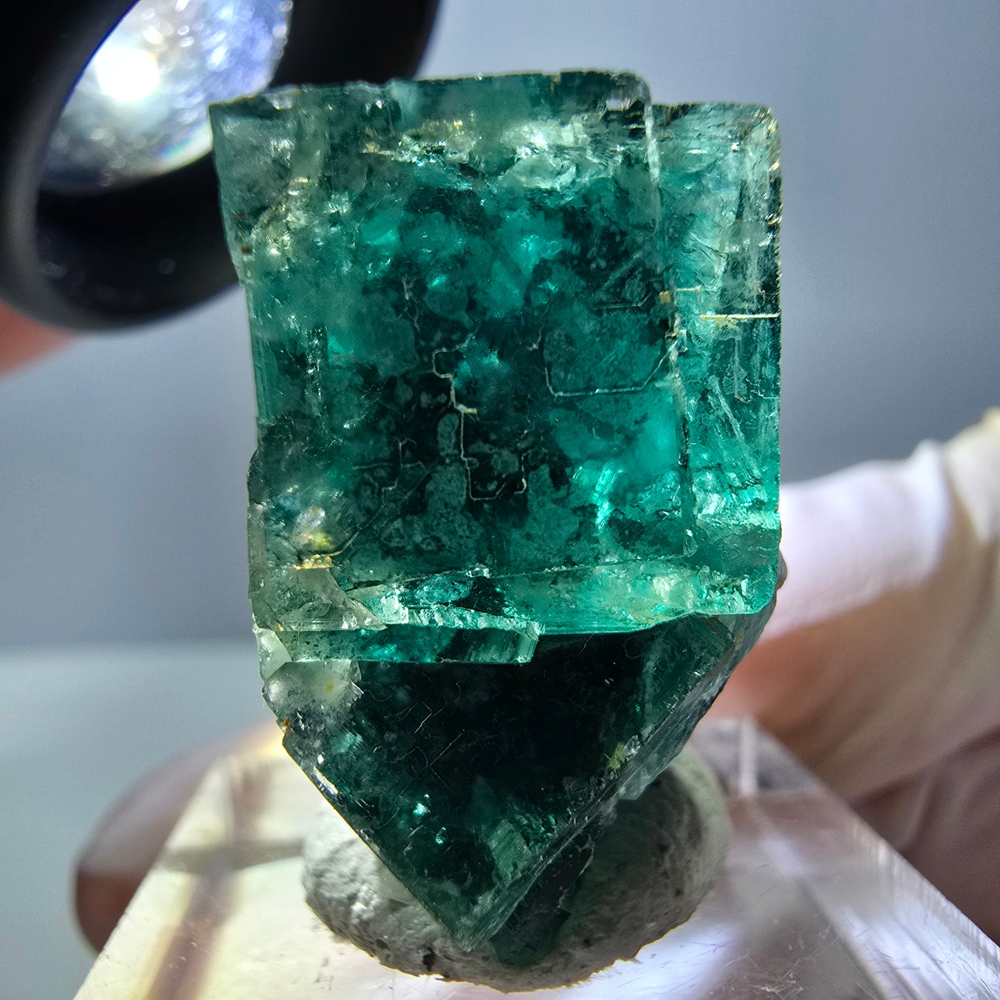 Spécimen de cube de fluorite fantôme, parquet vert Okorusu, Namibie 27 x 25 x 17 mm