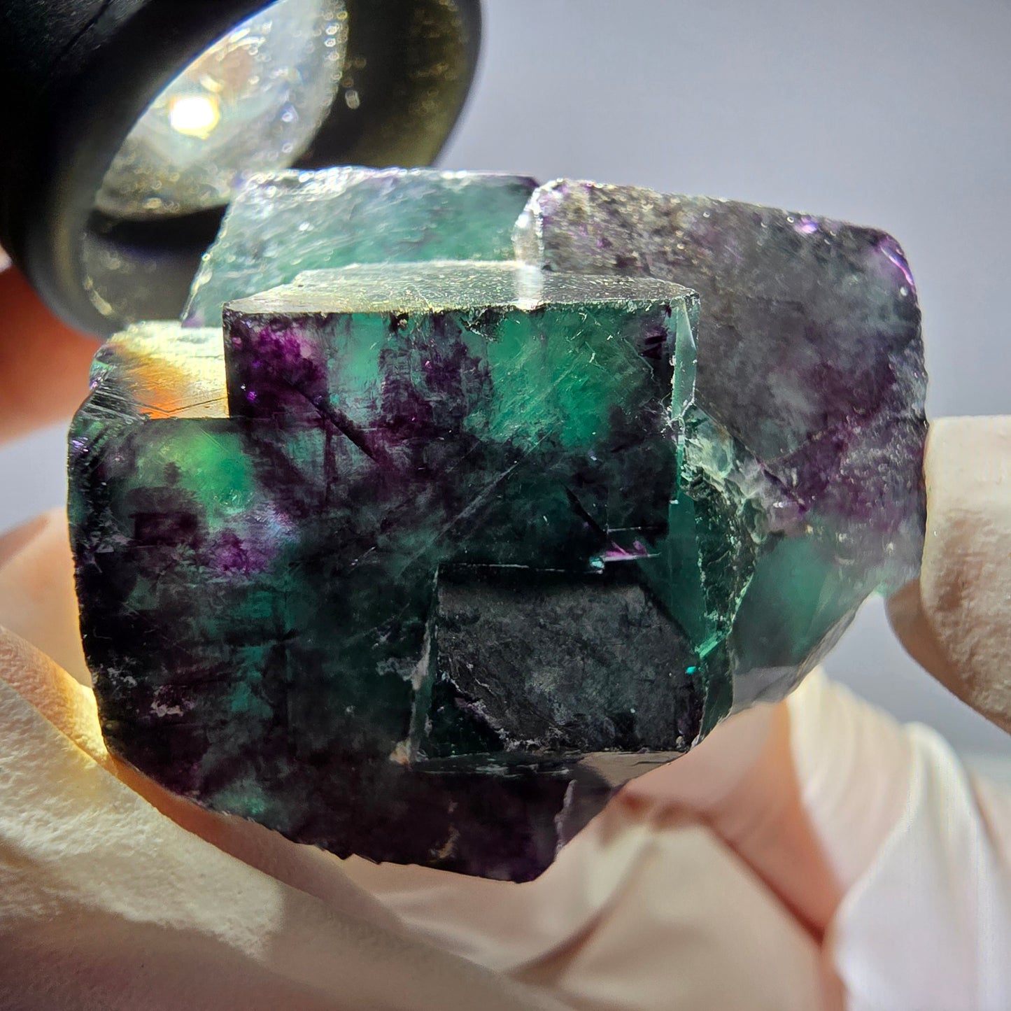 Spécimen de cube de fluorite fantôme parqueté vert violet Okorusu, Namibie 42*38*25mm