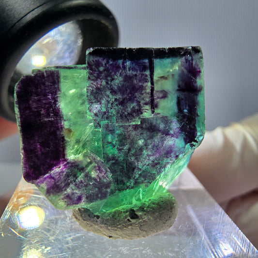 Phantom Fluorit Würfel Stufe grün lila zonal 11:11 Angel Pocket, Namibia 24*21*19mm