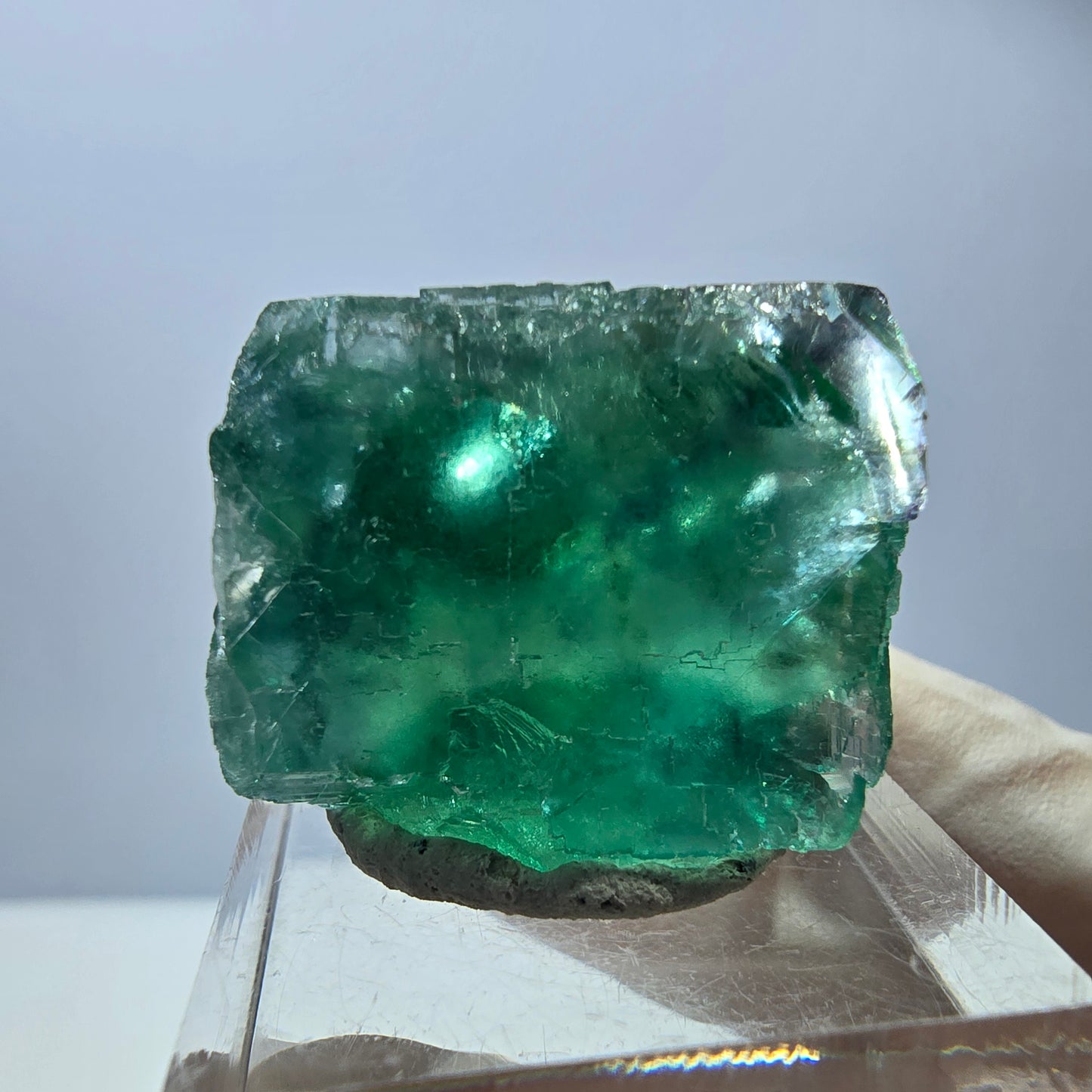 Phantom Fluorit Würfel Stufe, grün parkettiert Okorusu, Namibia 27*24*22mm