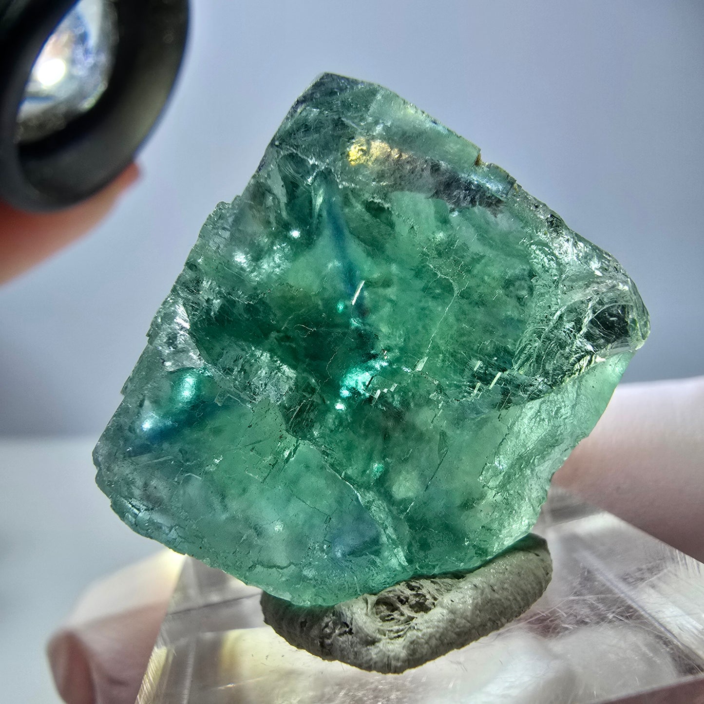 Cube de fluorite fantôme transparente parquetée, vert Okorusu, Namibie 23 x 22 x 15 mm