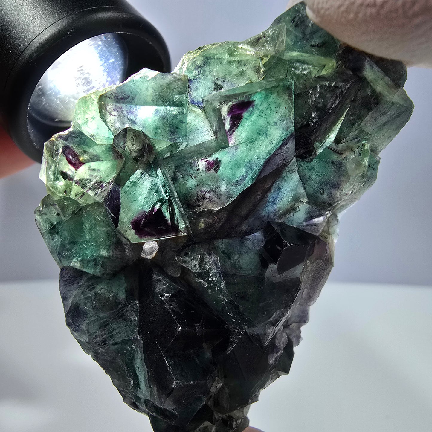 Spécimen de cube de fluorite fantôme, parqueté vert violet Okorusu, Namibie 64*41*19 mm
