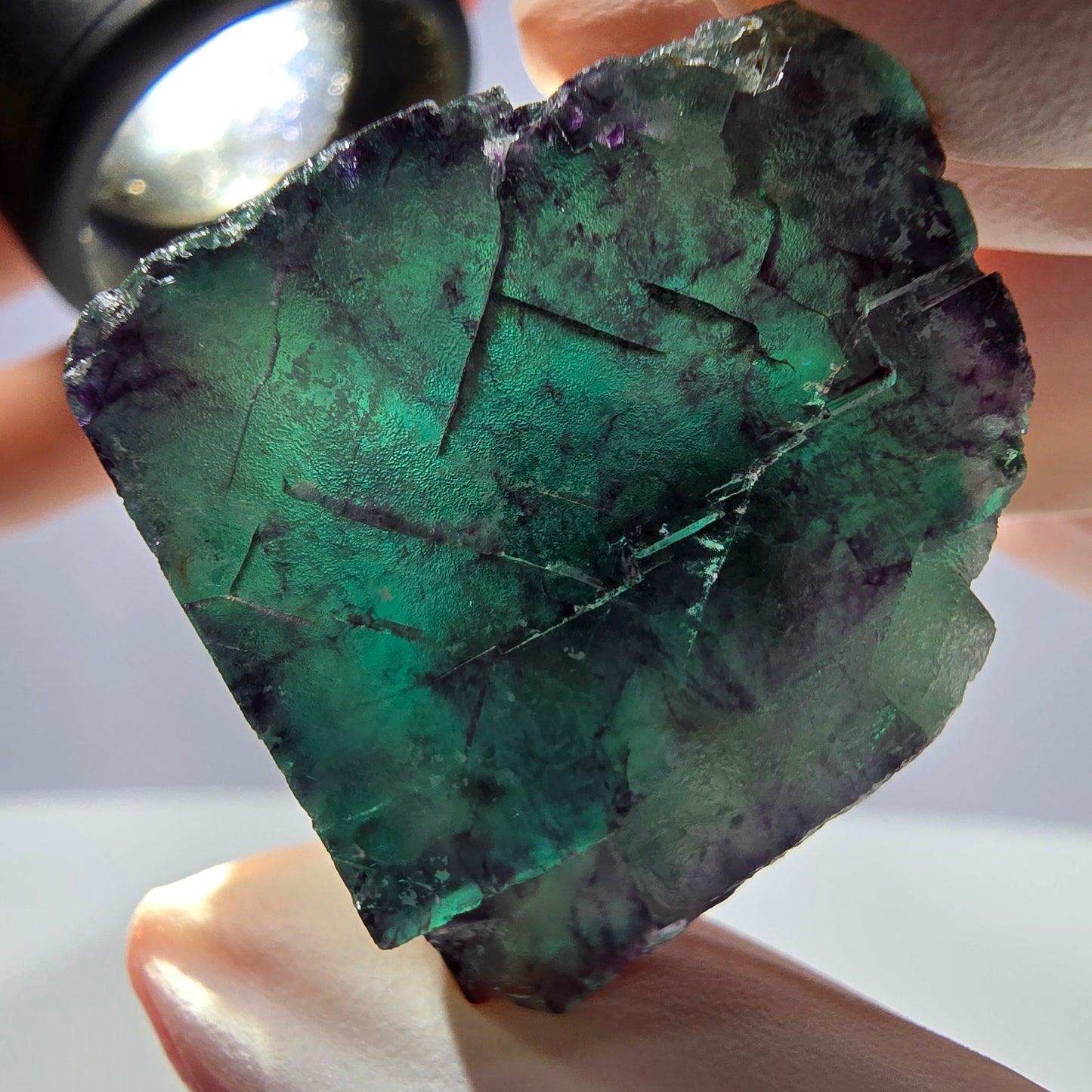 Spécimen de cube de fluorite fantôme parqueté vert violet Okorusu, Namibie 34*31*24mm