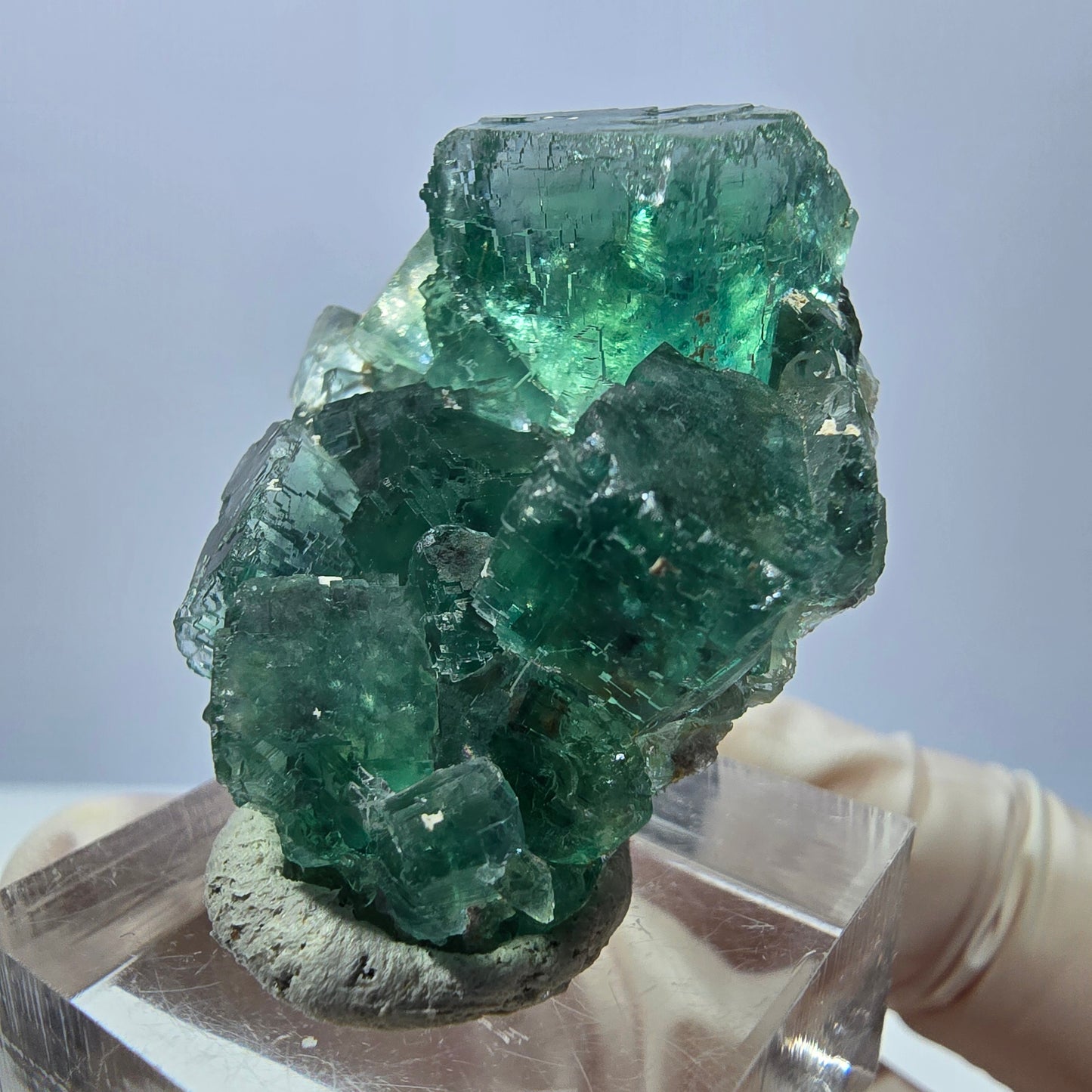 Phantom Fluorit Würfel Stufe, grün parkettiert Okorusu, Namibia 38*28*16mm