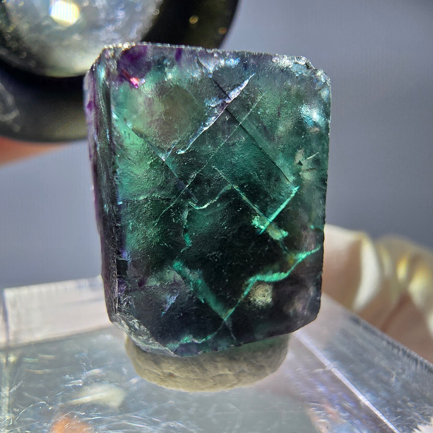 Rare cube de fluorite fantôme parqueté vert violet Okorusu Namibie 20*15*13mm