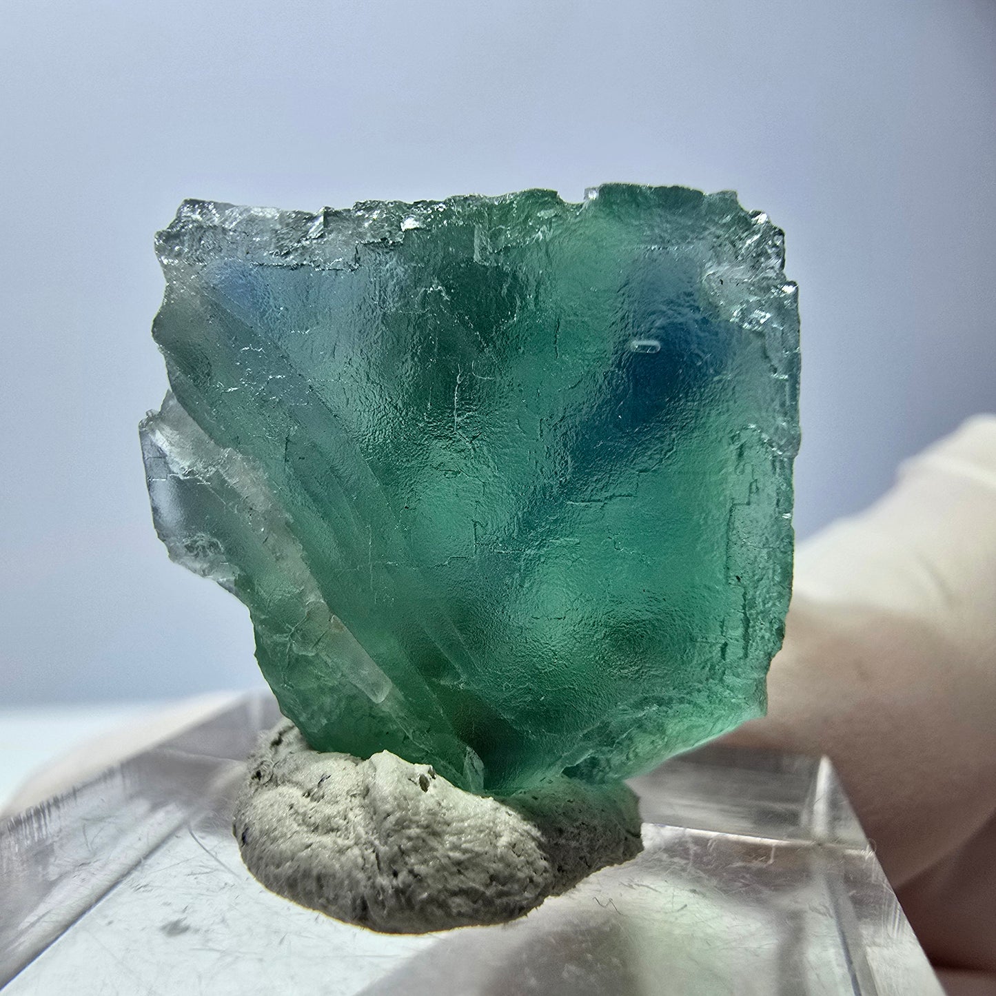 Cube de fluorite fantôme transparente parquetée, vert Okorusu, Namibie 21 x 21 x 19 mm