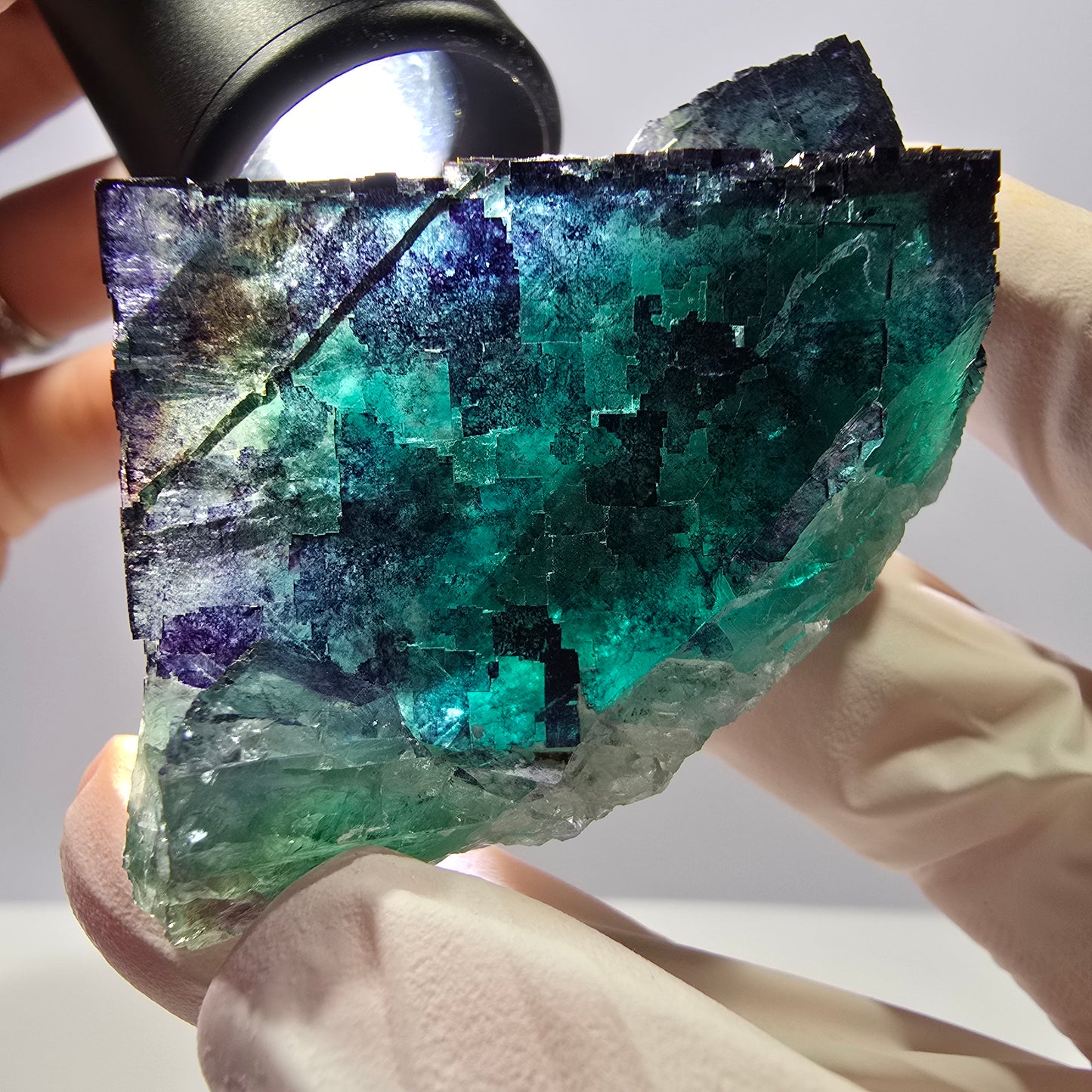 Spécimen de cube de fluorite fantôme parqueté vert violet Okorusu, Namibie 71*36*21mm