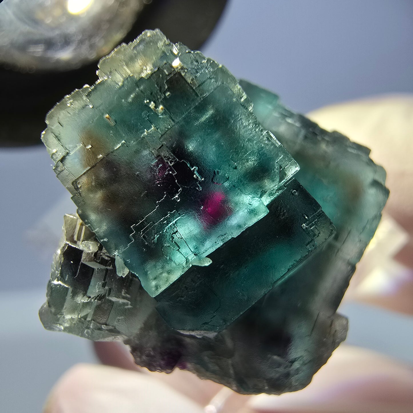 Spécimen de cube de fluorite fantôme, parqueté vert violet Okorusu, Namibie 25*18*18 mm