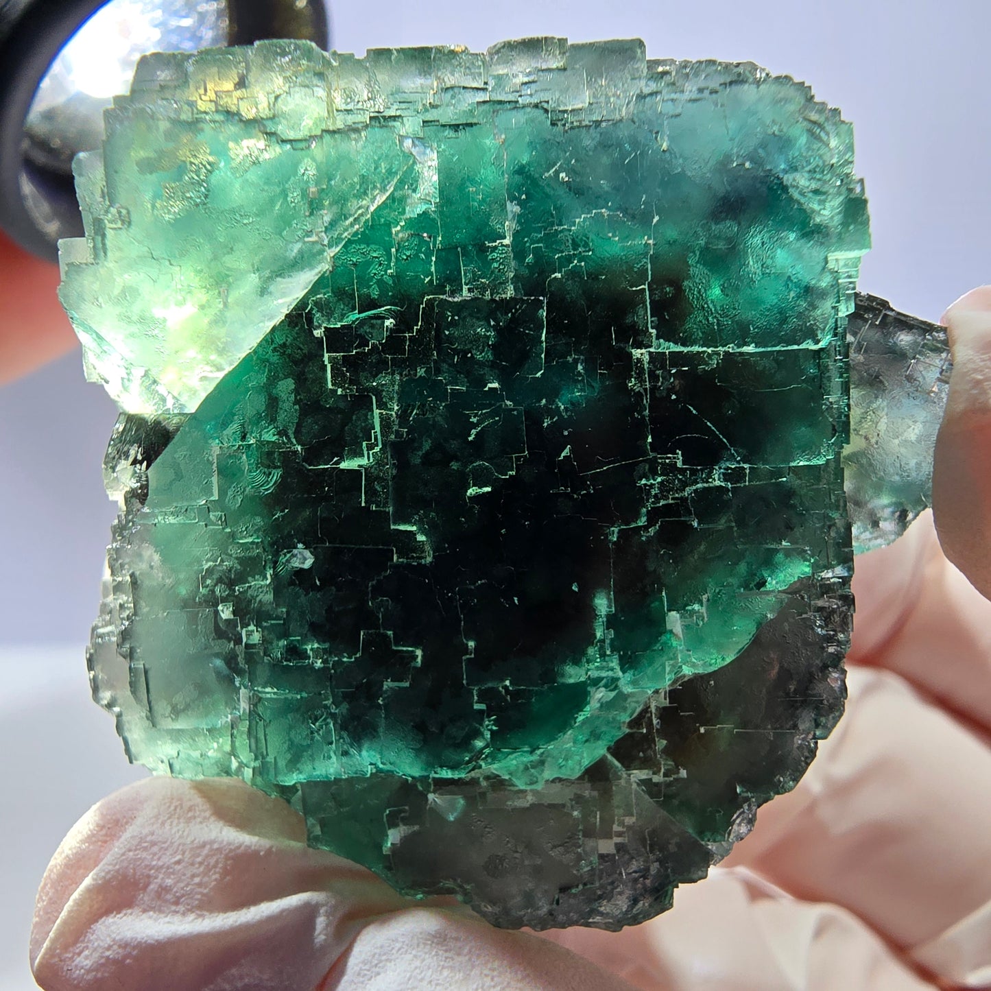 Spécimen de cube de fluorite fantôme transparente, vert parqueté, Okorusu, Namibie, 41 x 39 x 30 mm