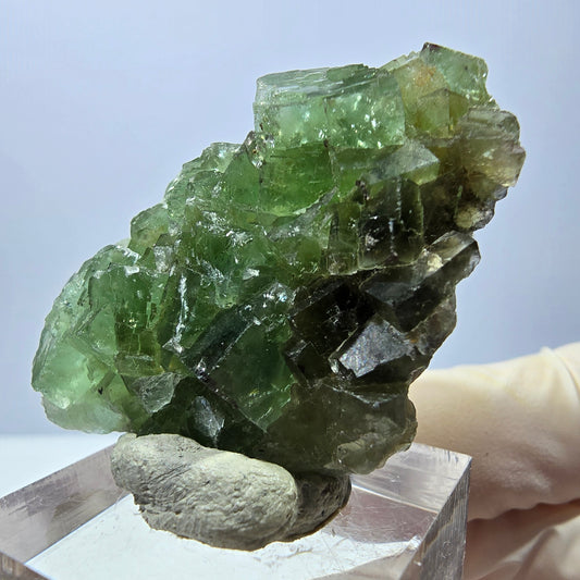 Seltene Phantom Fluorit Würfel Stufe, grün Okorusu, Namibia 45*33*17mm