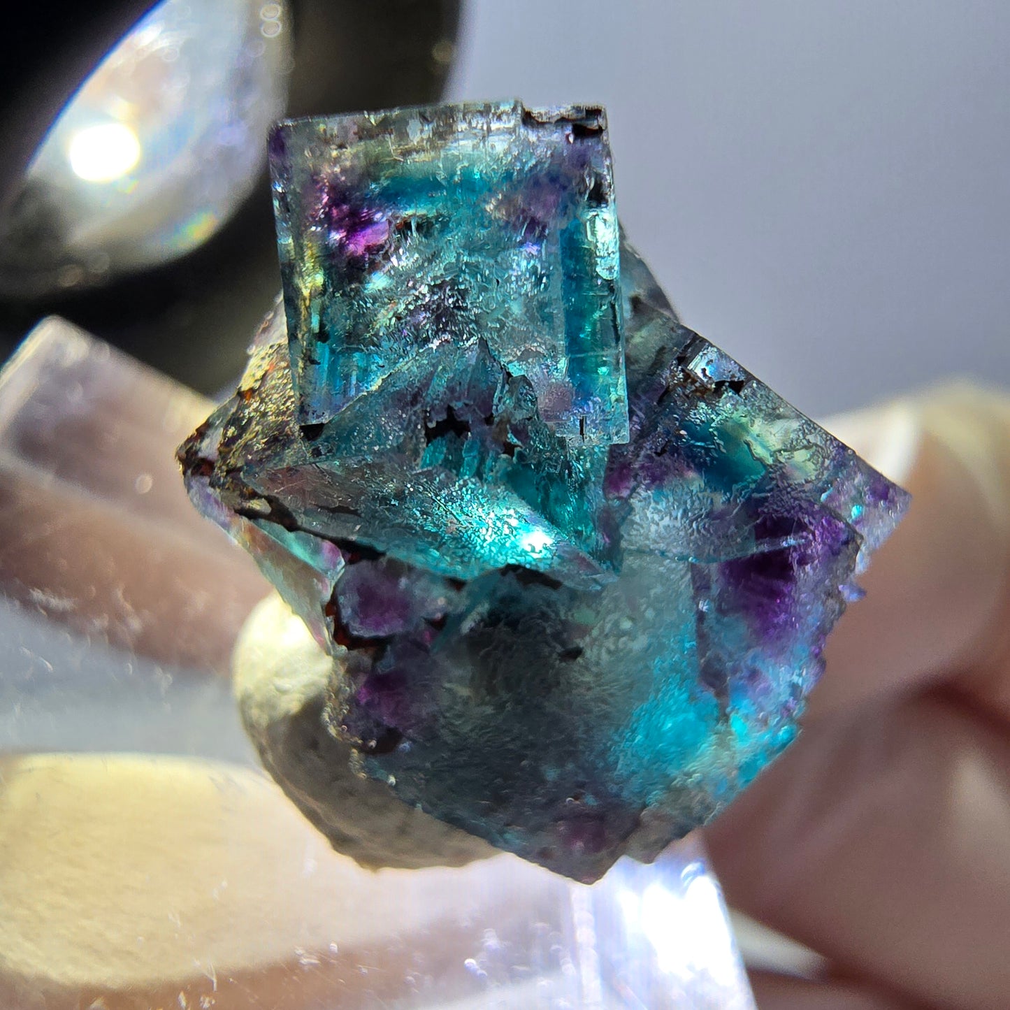 Spécimen de cube de fluorite fantôme, parqueté vert violet Okorusu, Namibie 20 x 15 x 12 mm