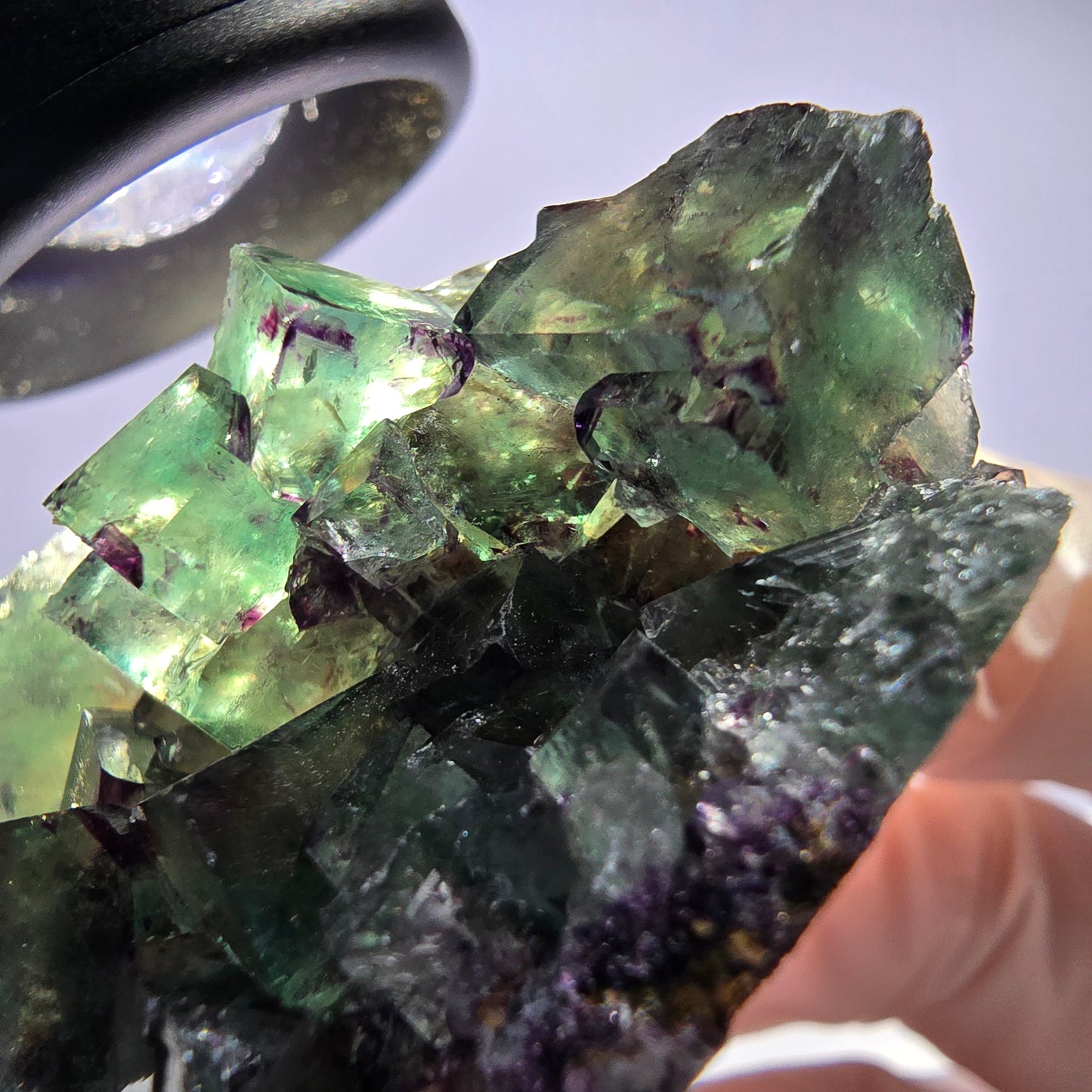 Spécimen de cube de fluorite fantôme parqueté vert violet Okorusu, Namibie 51*31*22mm