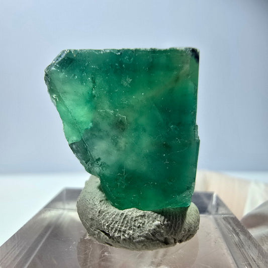 Klarer Phantom Fluorit Würfel parkettiert, grün Okorusu, Namibia 22*21*19mm