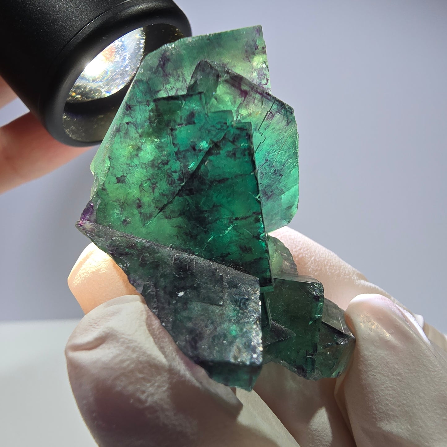 Spécimen de cube de fluorite fantôme parqueté vert violet Okorusu, Namibie 46*34*32mm