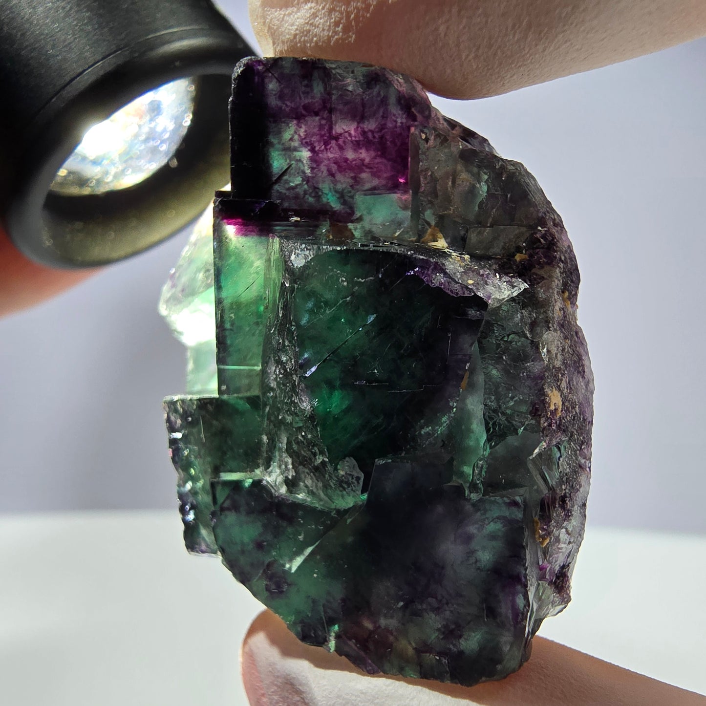 Spécimen de cube de fluorite fantôme parqueté vert violet Okorusu, Namibie 41*30*18mm