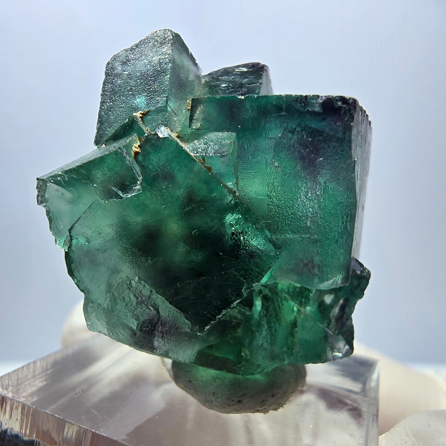 Rare spécimen de cube de fluorite, vert-violet, Okorusu, Namibie, 33 x 26 x 22 mm