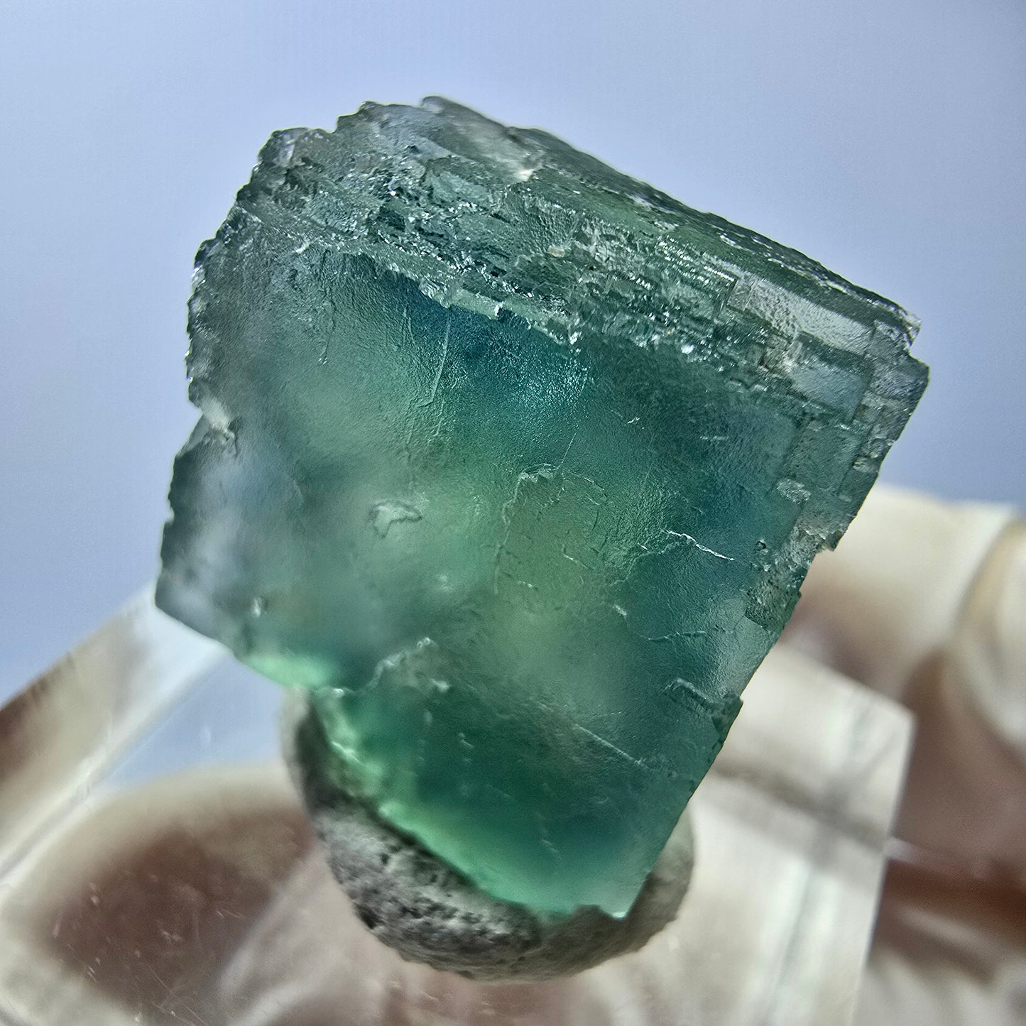 Cube de fluorite fantôme transparente parquetée, vert Okorusu, Namibie 19 x 18 x 15 mm