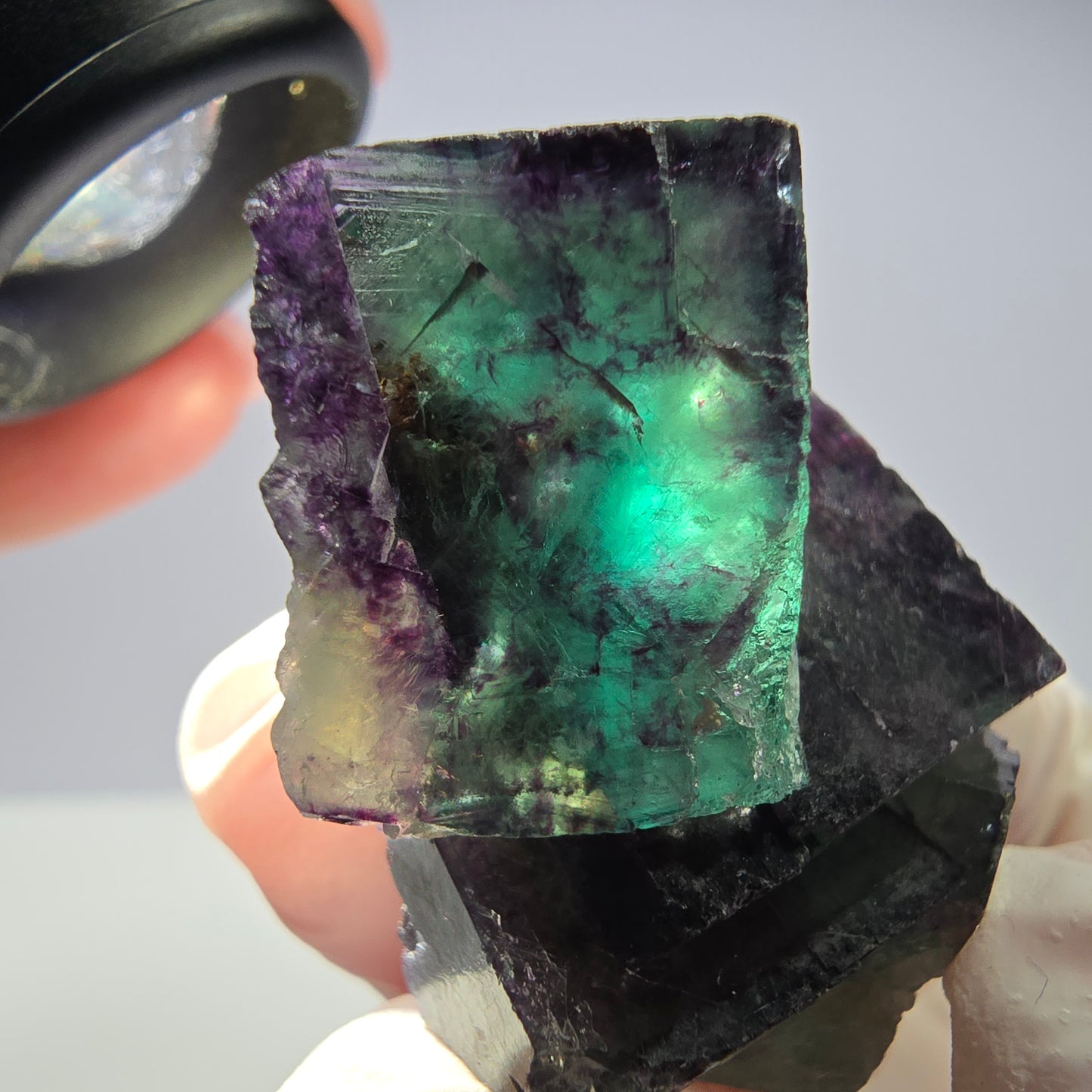 Spécimen de cube de fluorite fantôme parqueté vert violet Okorusu, Namibie 45*28*25 mm