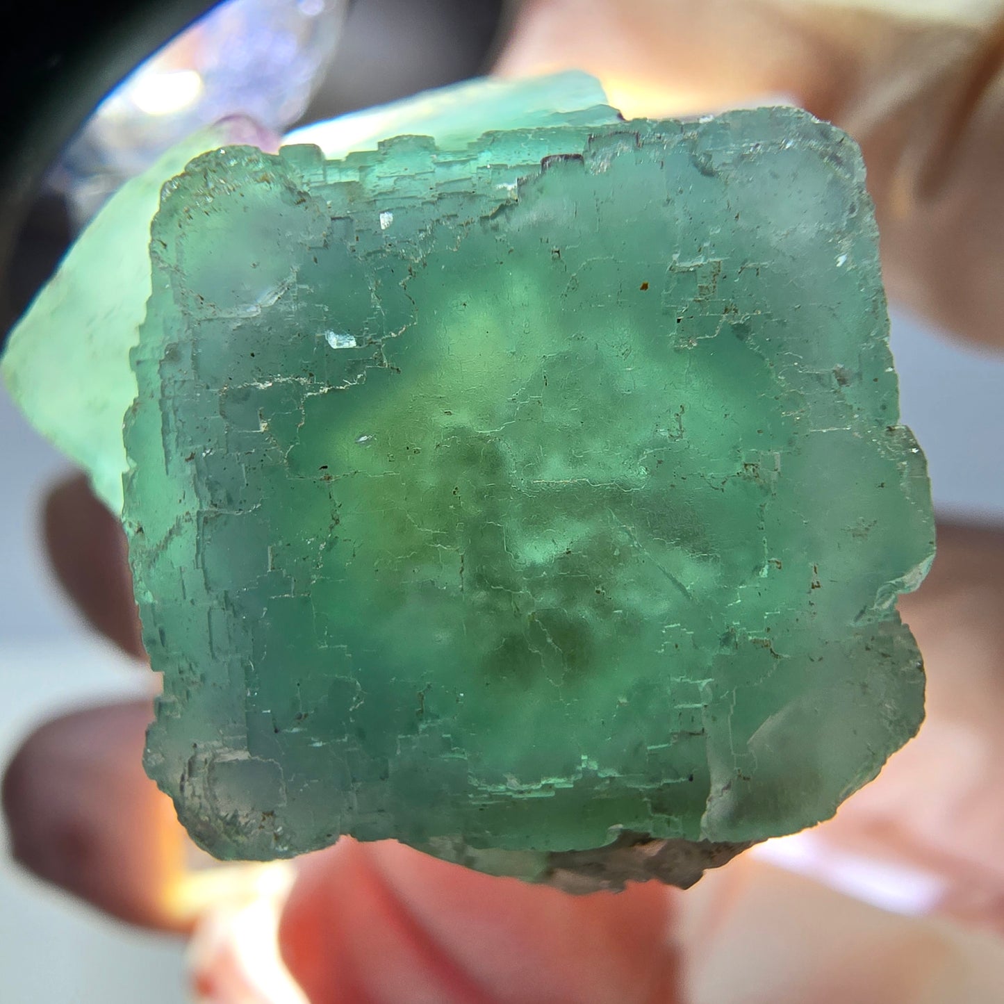 Phantom Fluorit Würfel Stufe, grün parkettiert Okorusu, Namibia 23*23*22mm