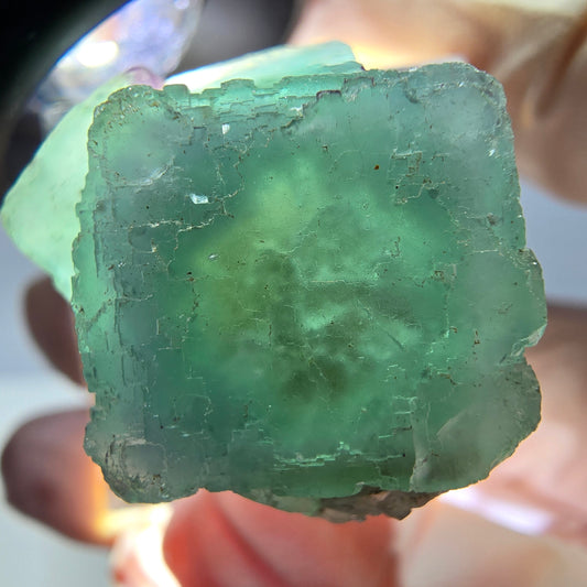 Phantom Fluorit Würfel Stufe, grün parkettiert Okorusu, Namibia 23*23*22mm