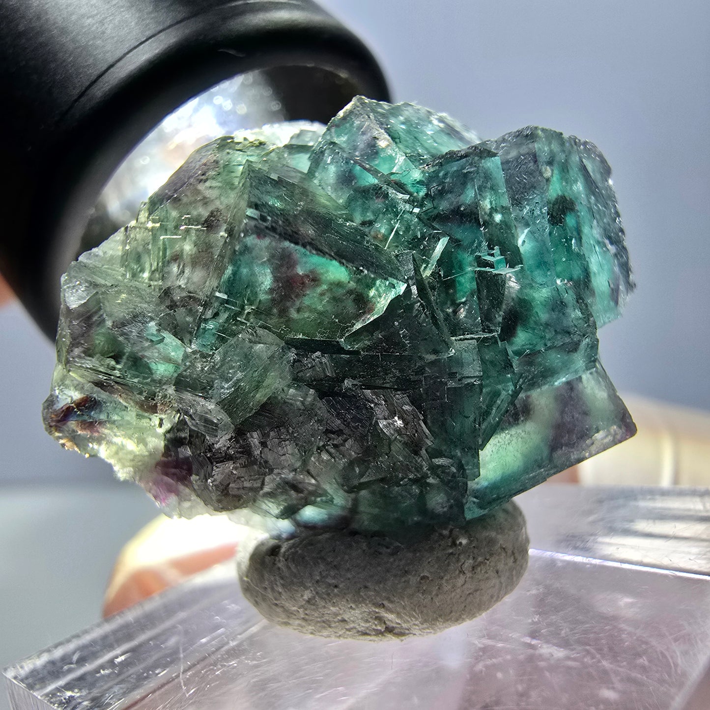 Spécimen de cube de fluorite fantôme, parqueté vert violet Okorusu, Namibie 27*24*17 mm