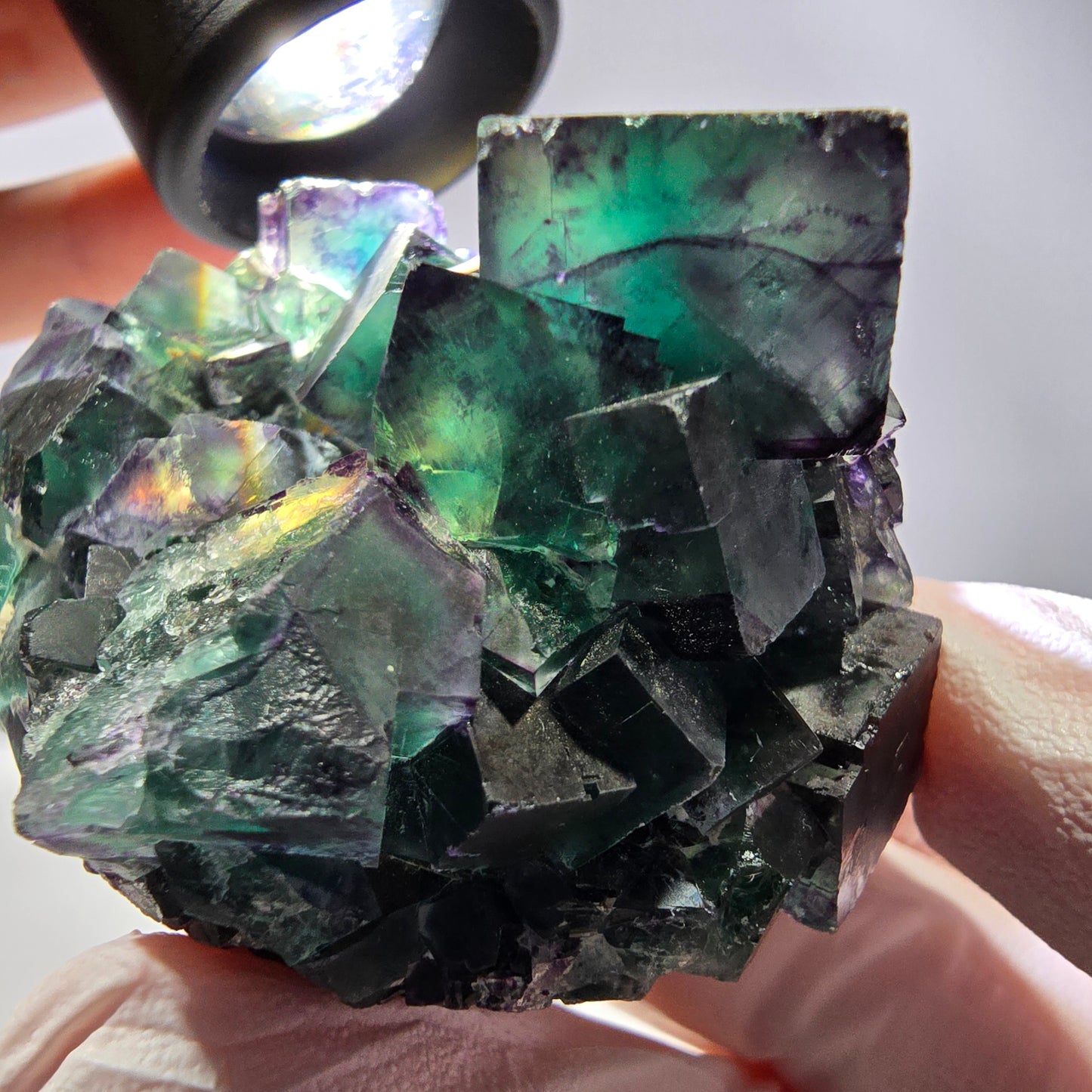 Spécimen de cube de fluorite fantôme, parqueté vert violet Okorusu, Namibie 59*46*39 mm