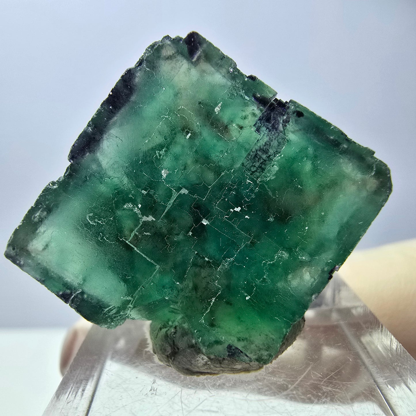 Cube de fluorite fantôme transparente parquetée, vert Okorusu, Namibie 24 x 23 x 21 mm