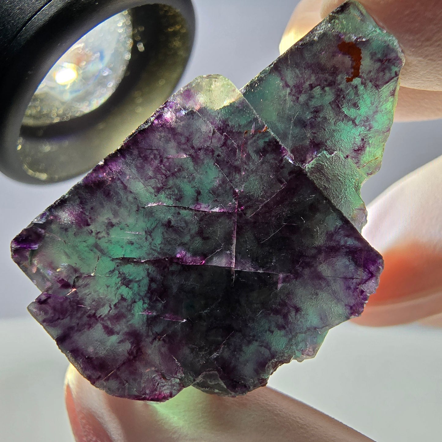 Spécimen de cube de fluorite fantôme parqueté vert violet Okorusu, Namibie 34*26*21mm
