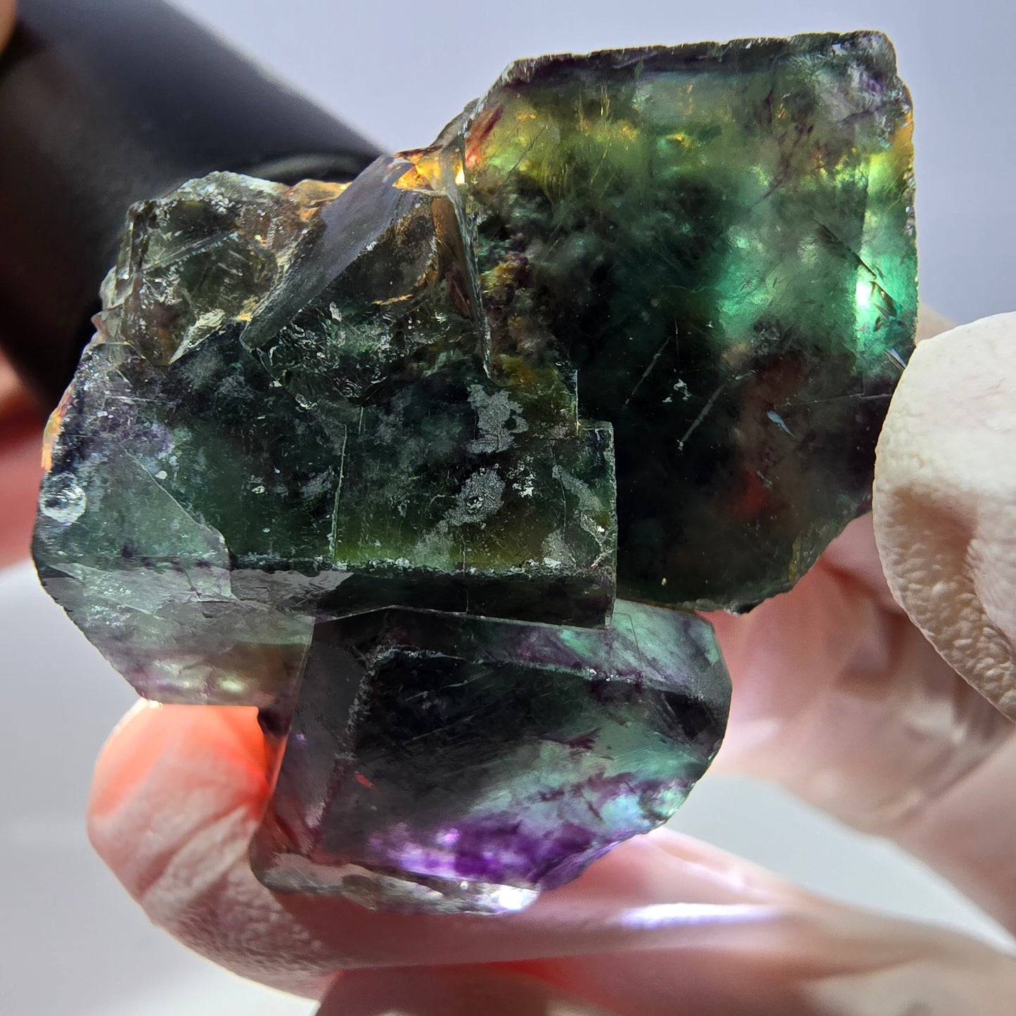 Spécimen de cube de fluorite fantôme, parqueté vert violet Okorusu, Namibie 33*34*21 mm