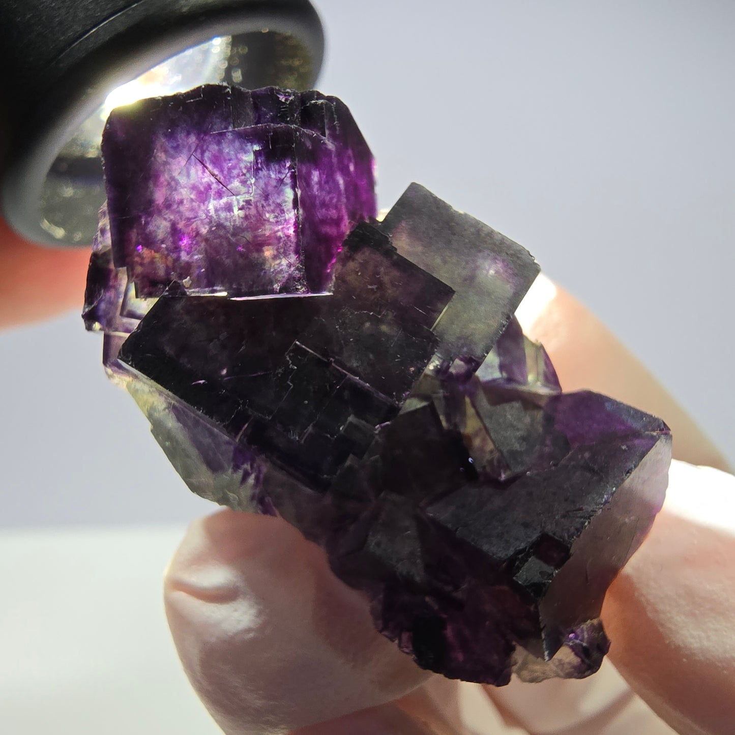 Spécimen de cube de fluorite fantôme parqueté vert violet Okorusu, Namibie 40*26*21mm