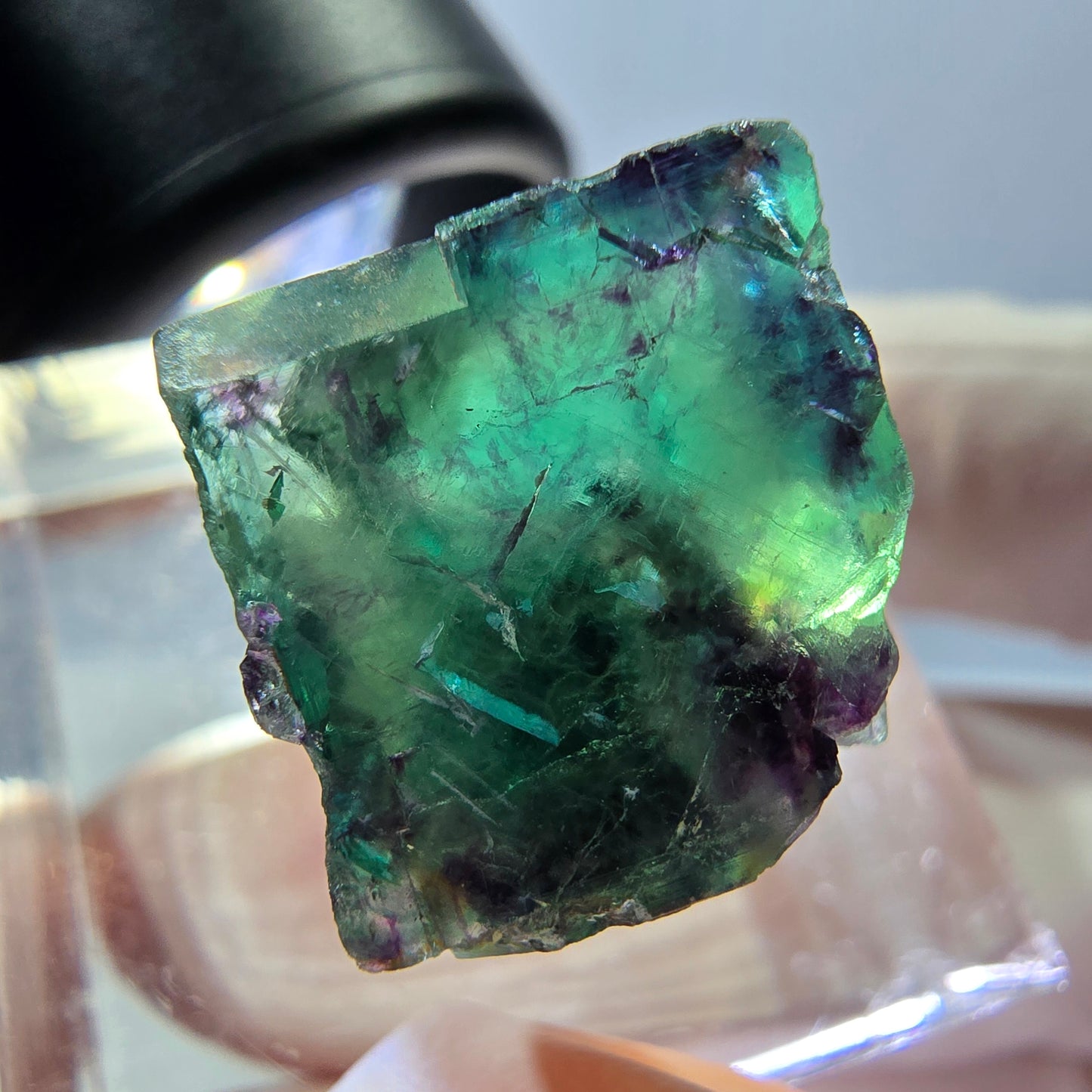 Phantom Fluorit Würfel Stufe, parkettiert grün lila Okorusu, Namibia 14*13*13mm