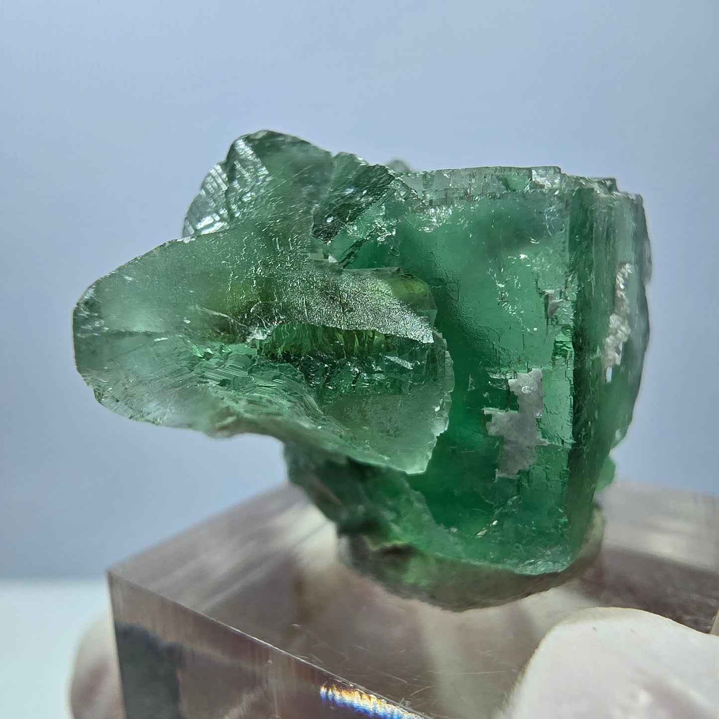 Spécimen de cube de fluorite fantôme, parquet vert Okorusu, Namibie 35*26*24 mm