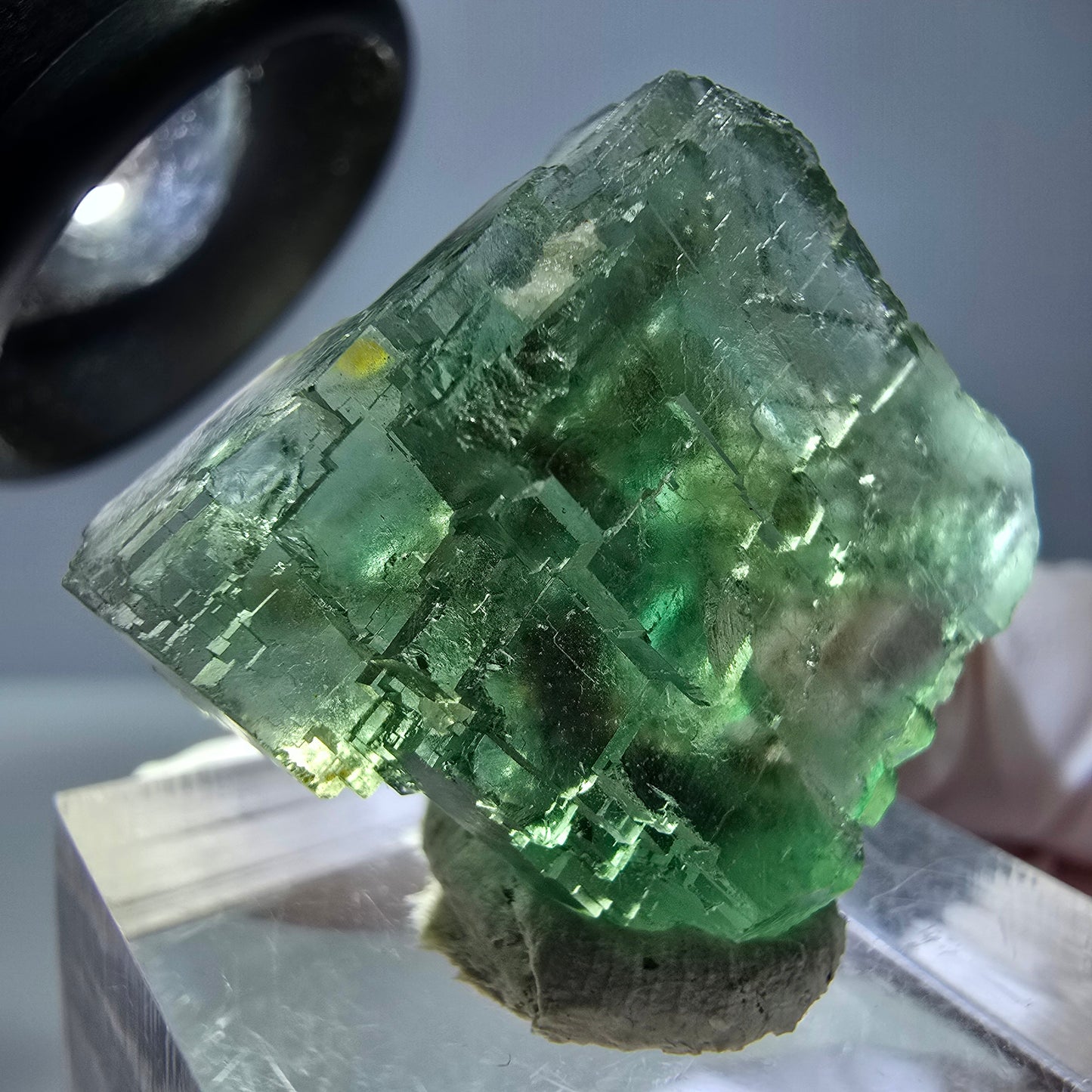 Cube de fluorite fantôme transparente parquetée, vert Okorusu, Namibie 23 x 21 x 15 mm