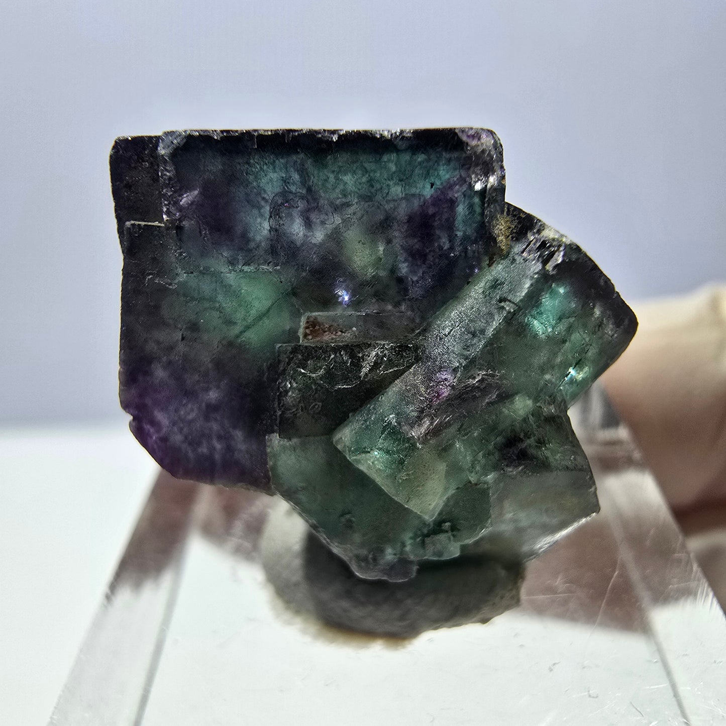 Phantom Fluorit Würfel Stufe, parkettiert grün lila Okorusu, Namibia 21*20*17mm