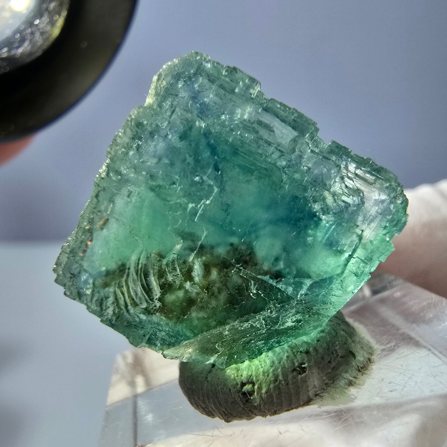 Cube de fluorite fantôme transparente parquetée, vert Okorusu, Namibie 18 x 18 x 14 mm