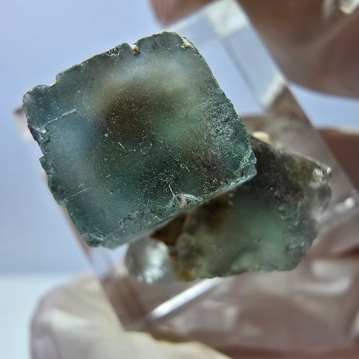 Seltene Phantom Fluorit Würfel Stufe, grün Okorusu, Namibia 22*19*18mm
