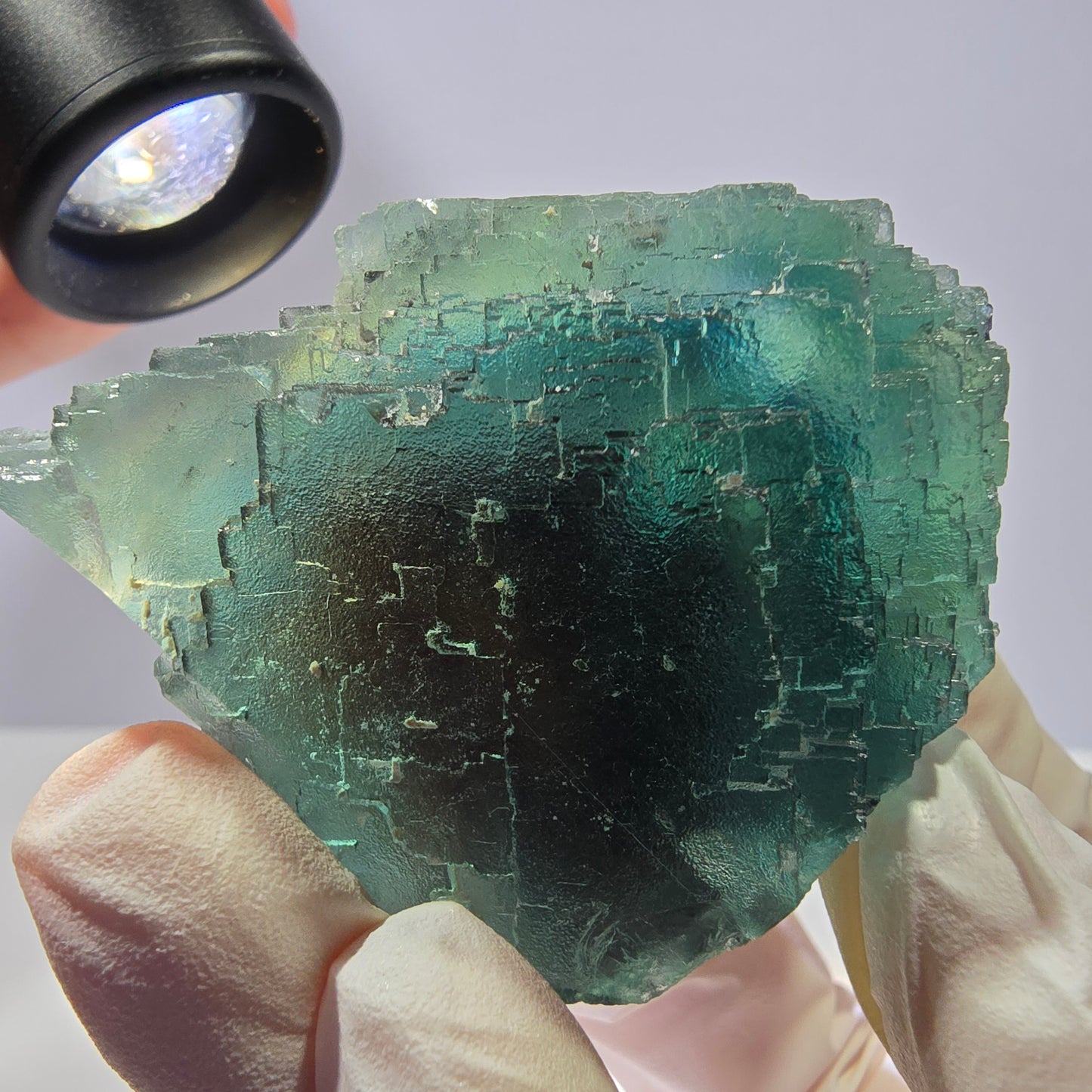 Spécimen de cube de fluorite fantôme transparente, vert parqueté, Okorusu, Namibie, 65 x 46 x 28 mm