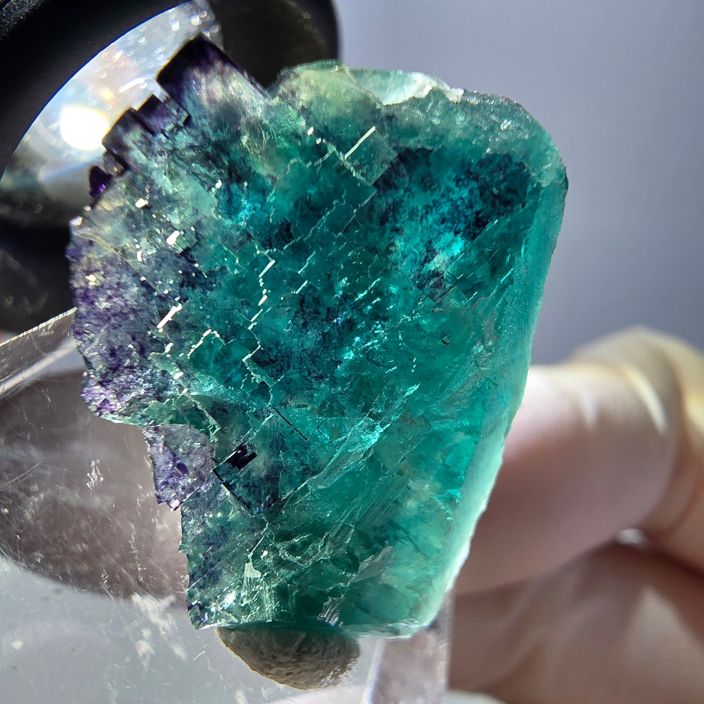 Phantom Fluorit Würfel Stufe, parkettiert grün lila Okorusu, Namibia 27*19*15mm