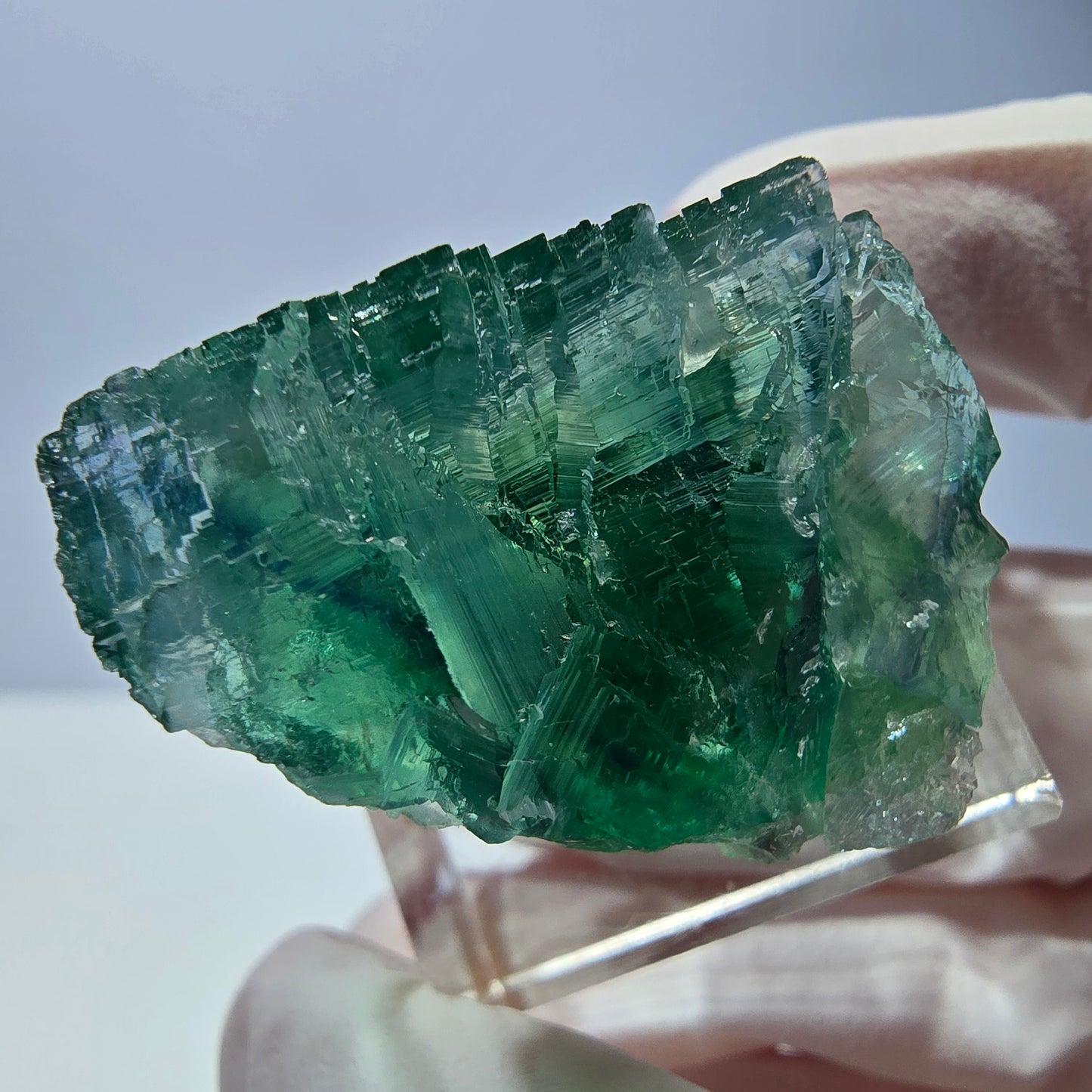 Cube de fluorite fantôme transparente parquetée, vert Okorusu, Namibie 28 x 24 x 22 mm