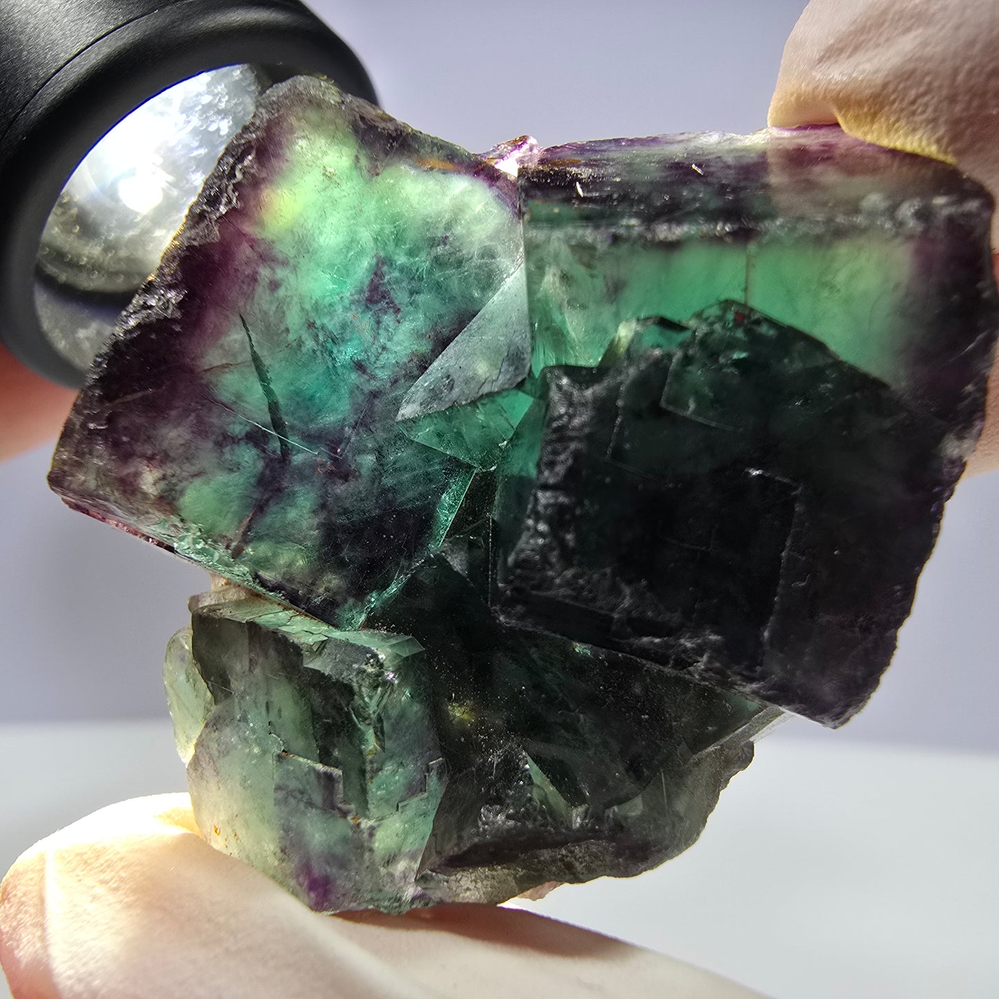 Spécimen de cube de fluorite fantôme parqueté vert violet Okorusu, Namibie 44*35*21mm