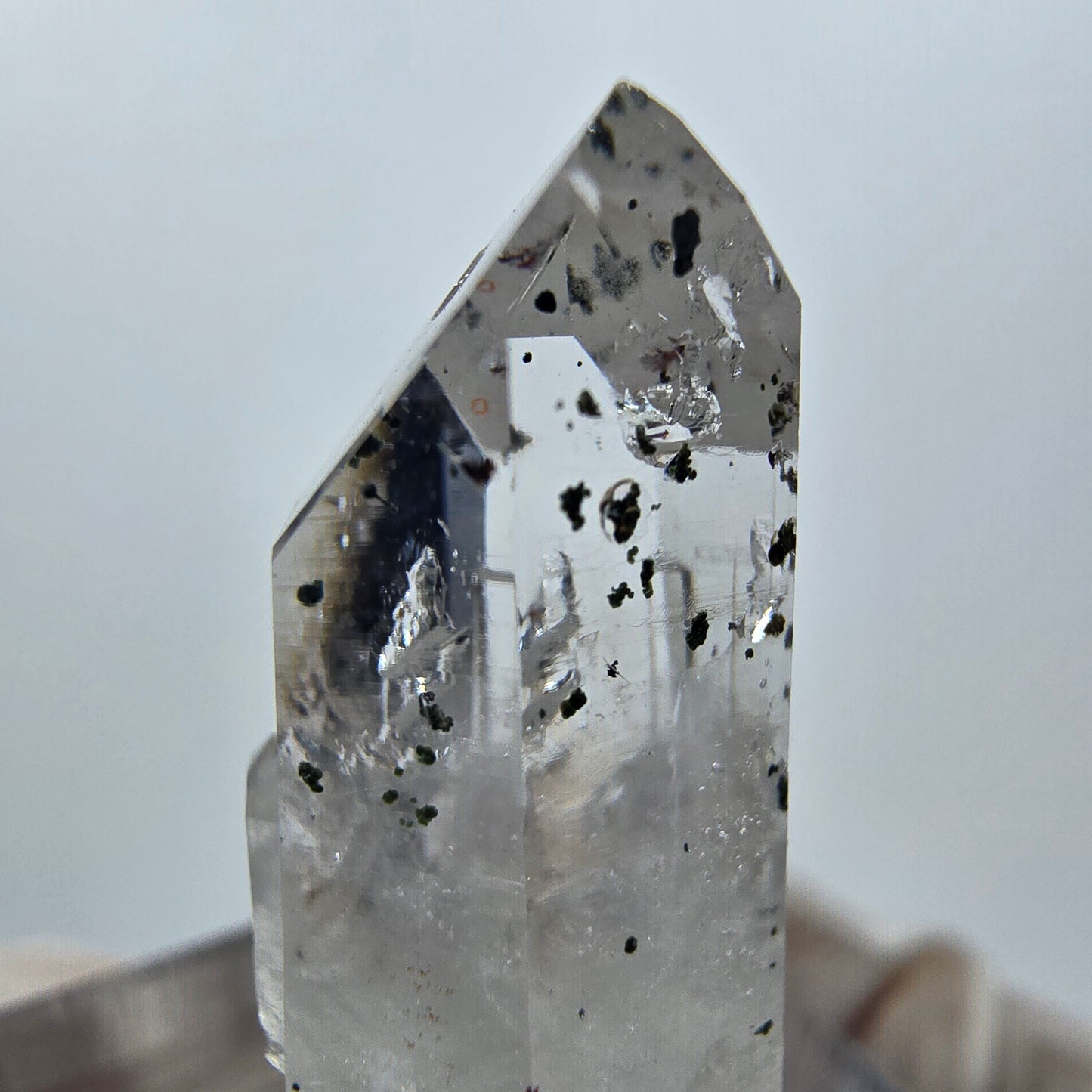 Quartz clair Harlequin Point Streep Mine, Goboboseb, Namibie 29 x 11 x 8 mm