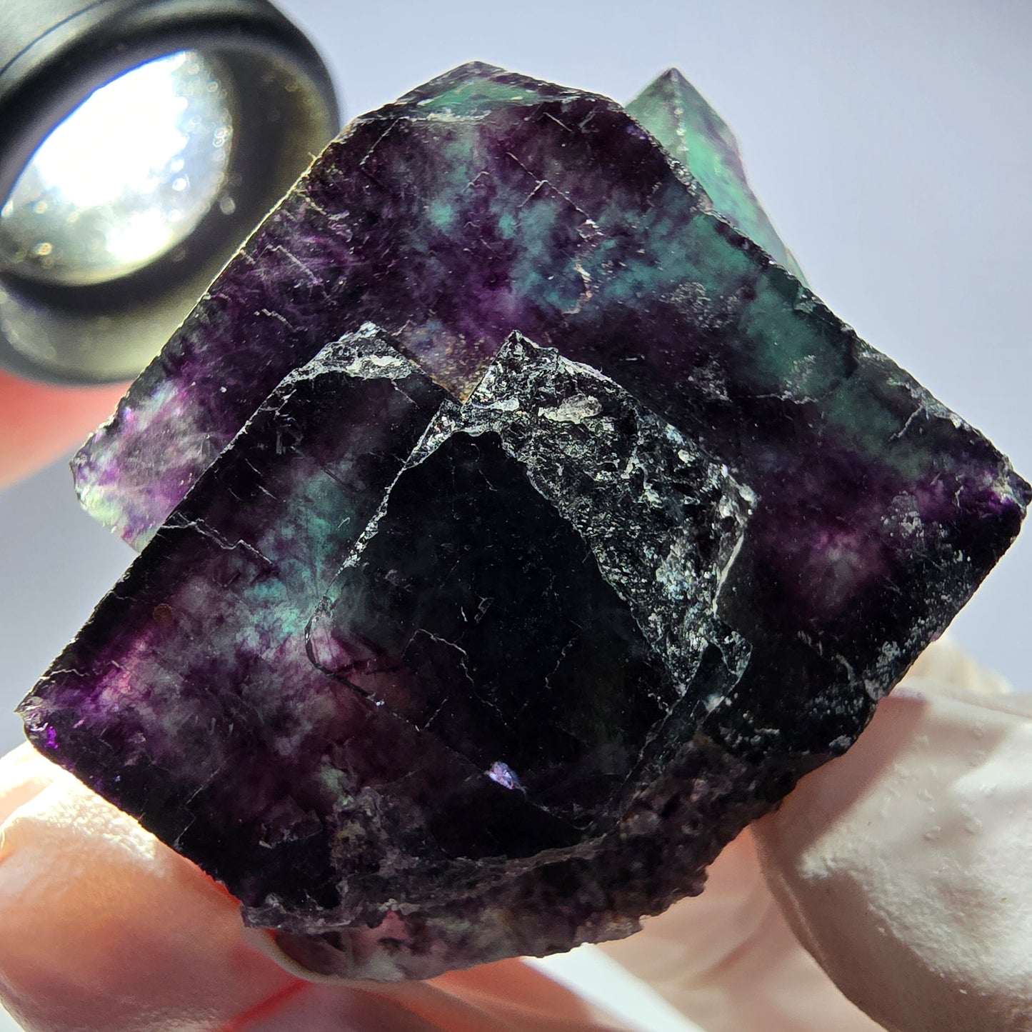 Spécimen de cube de fluorite fantôme parqueté vert violet Okorusu, Namibie 45*34*22mm
