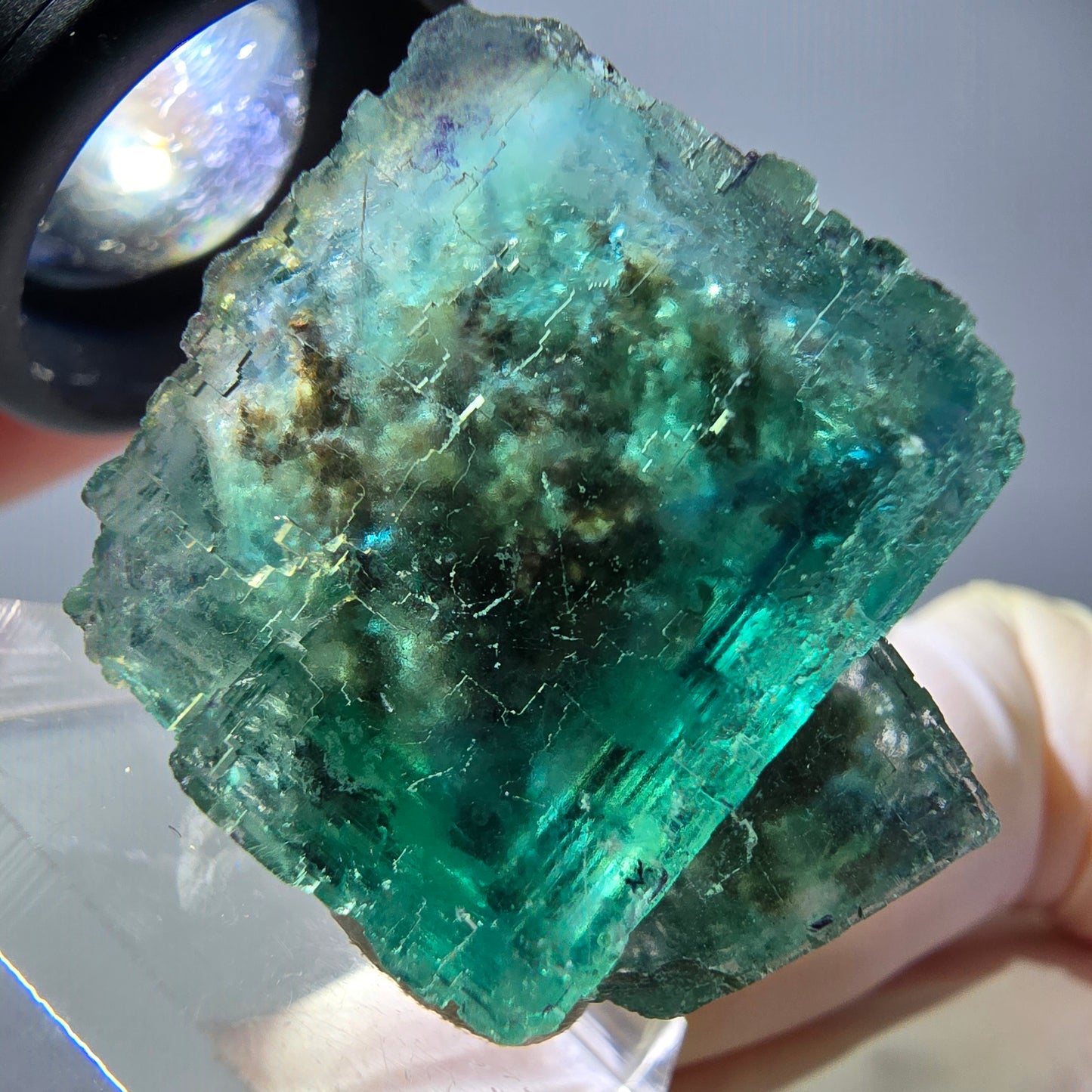 Phantom Fluorit Würfel Stufe, grün parkettiert Okorusu, Namibia 30*24*23mm