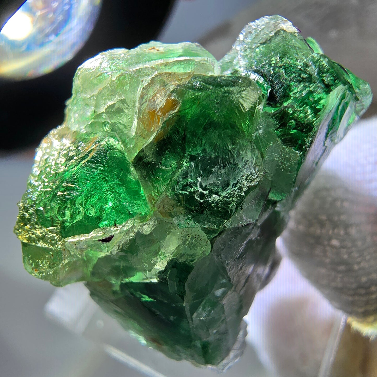 Cube de fluorite fantôme, spécimen de muscovite, Erongo, Namibie, 30 x 23 x 21 mm
