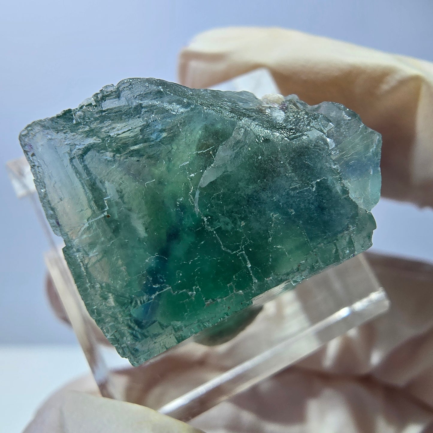 Cube de fluorite fantôme transparente parquetée, vert Okorusu, Namibie 20 x 18 x 15 mm